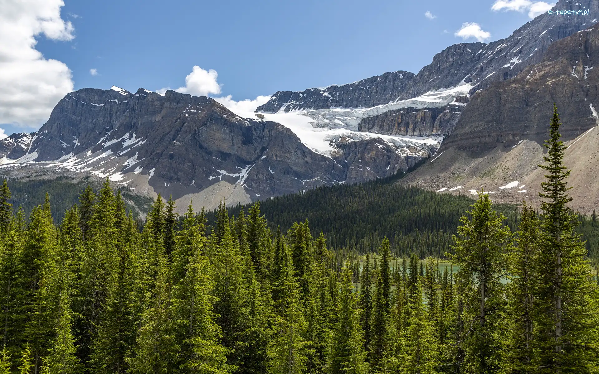 Lasy, Drzewa, Skały, Góry, Park Narodowy Banff, Kanada, Alberta, Śnieg, Lodowiec Crowfoot Glacier