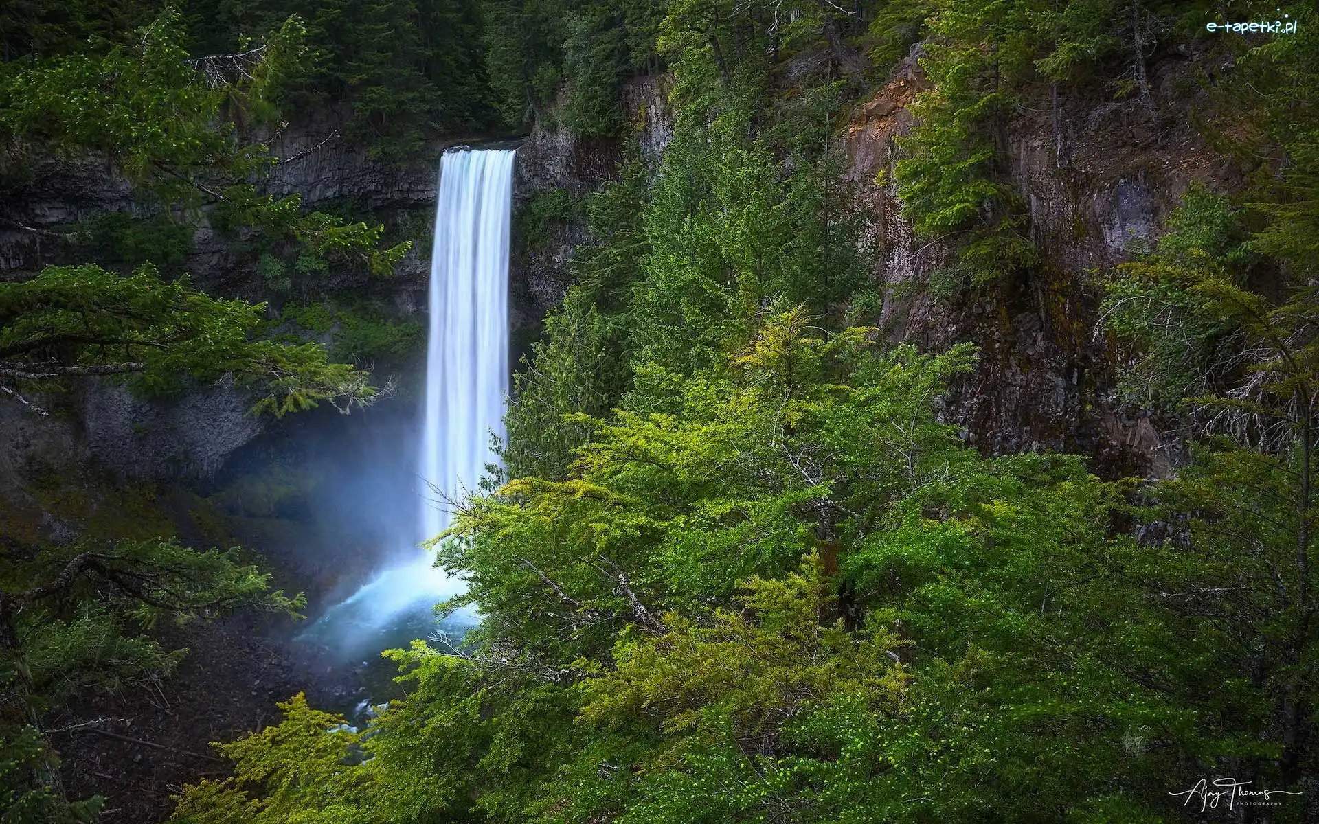 Kanada, Wodospad, Brandywine Falls, Skały, Las, Kolumbia Brytyjska, Drzewa