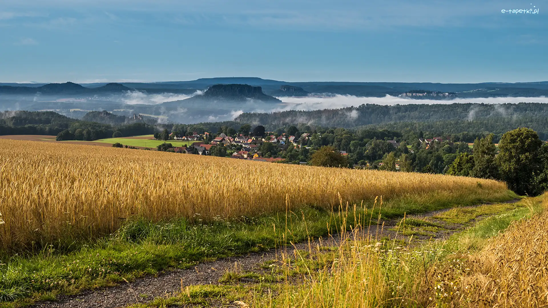 Domy, Dolina, Pola, Droga, Wzgórza, Mgła, Drzewa, Zboże, Lasy