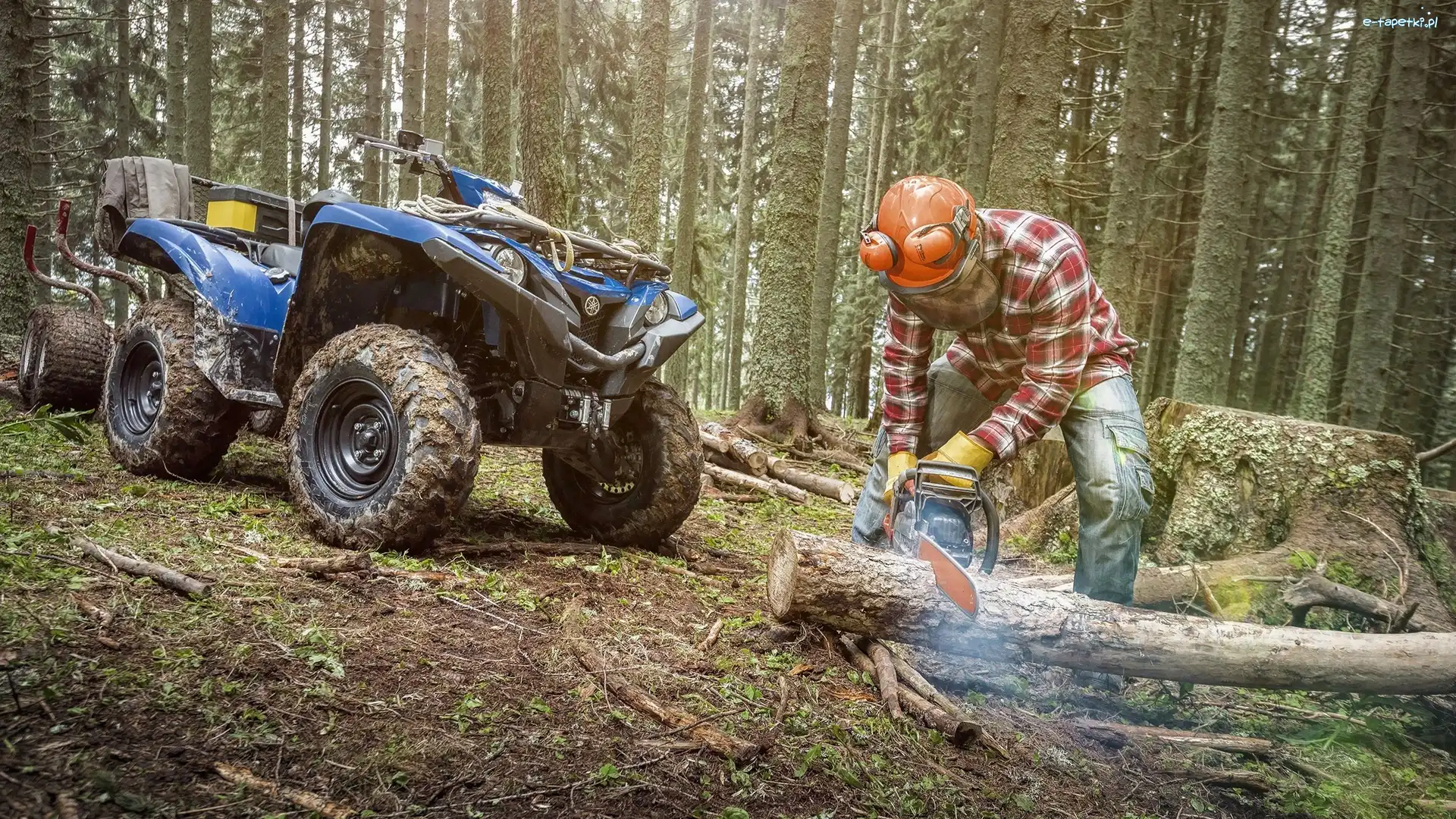 Quad, Las, Yamaha Grizzly, Drwal, Drzewa