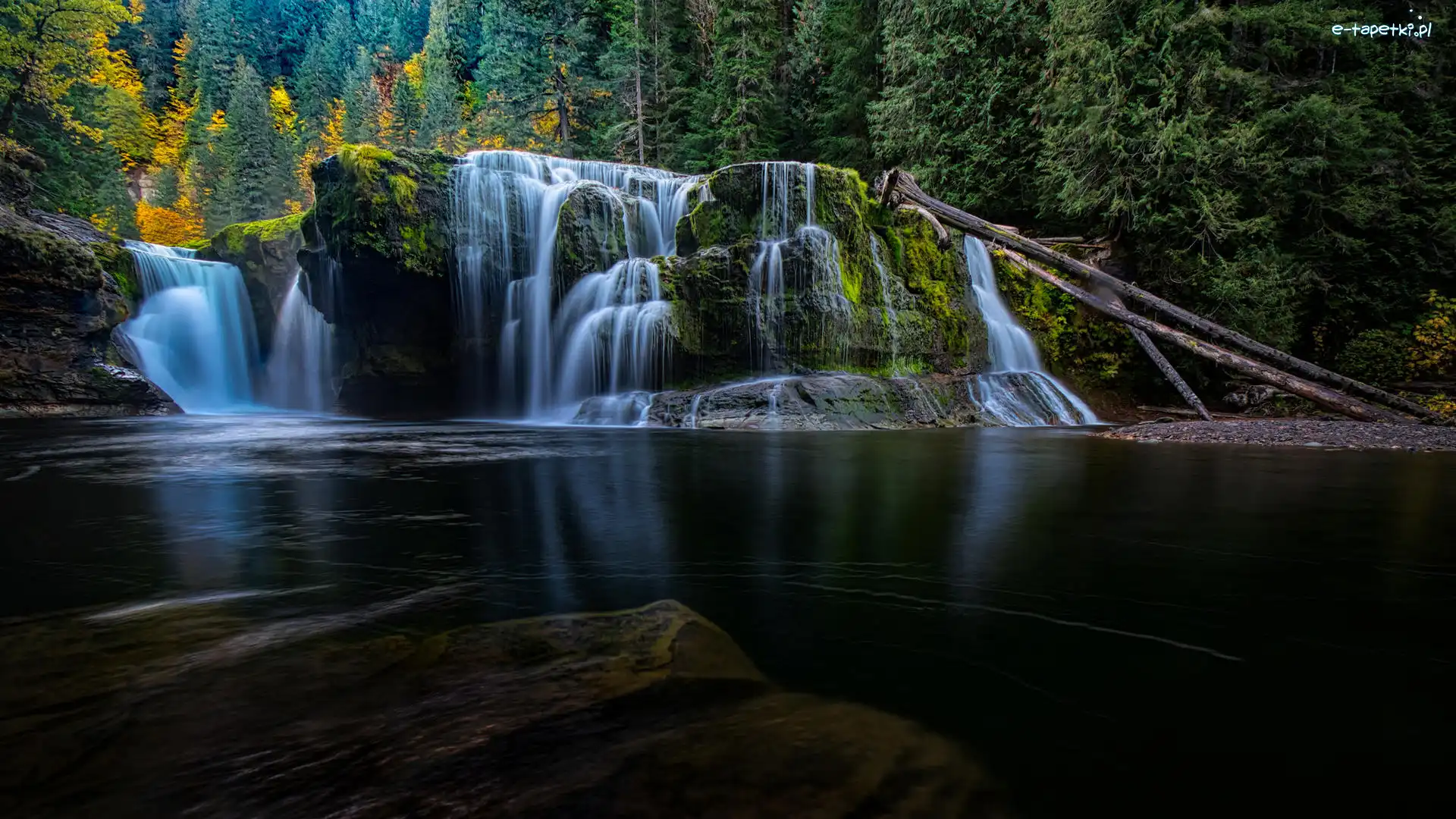 Stan Waszyngton, Las, Wodospad Lower Lewis River Falls, Stany Zjednoczone, Skały, Omszałe