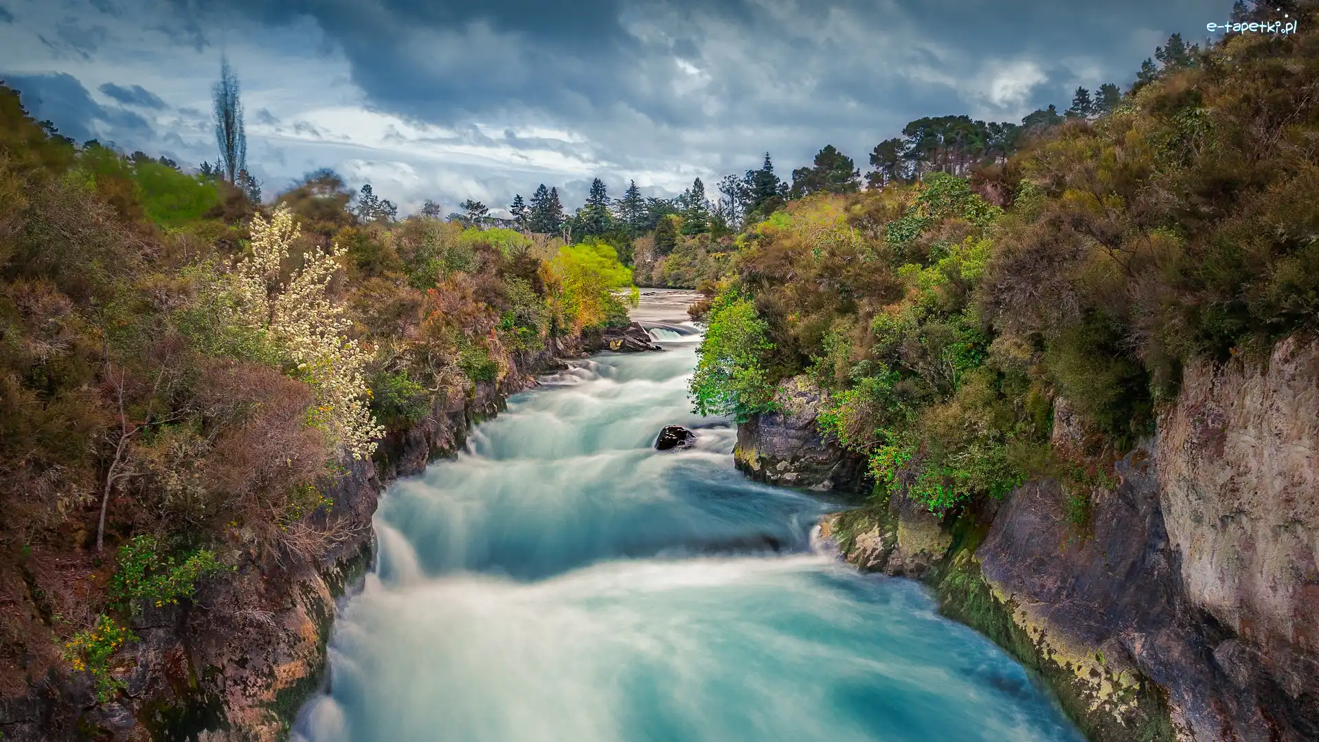 Rzeka, Drzewa, Waikato River, Nowa Zelandia, Skały