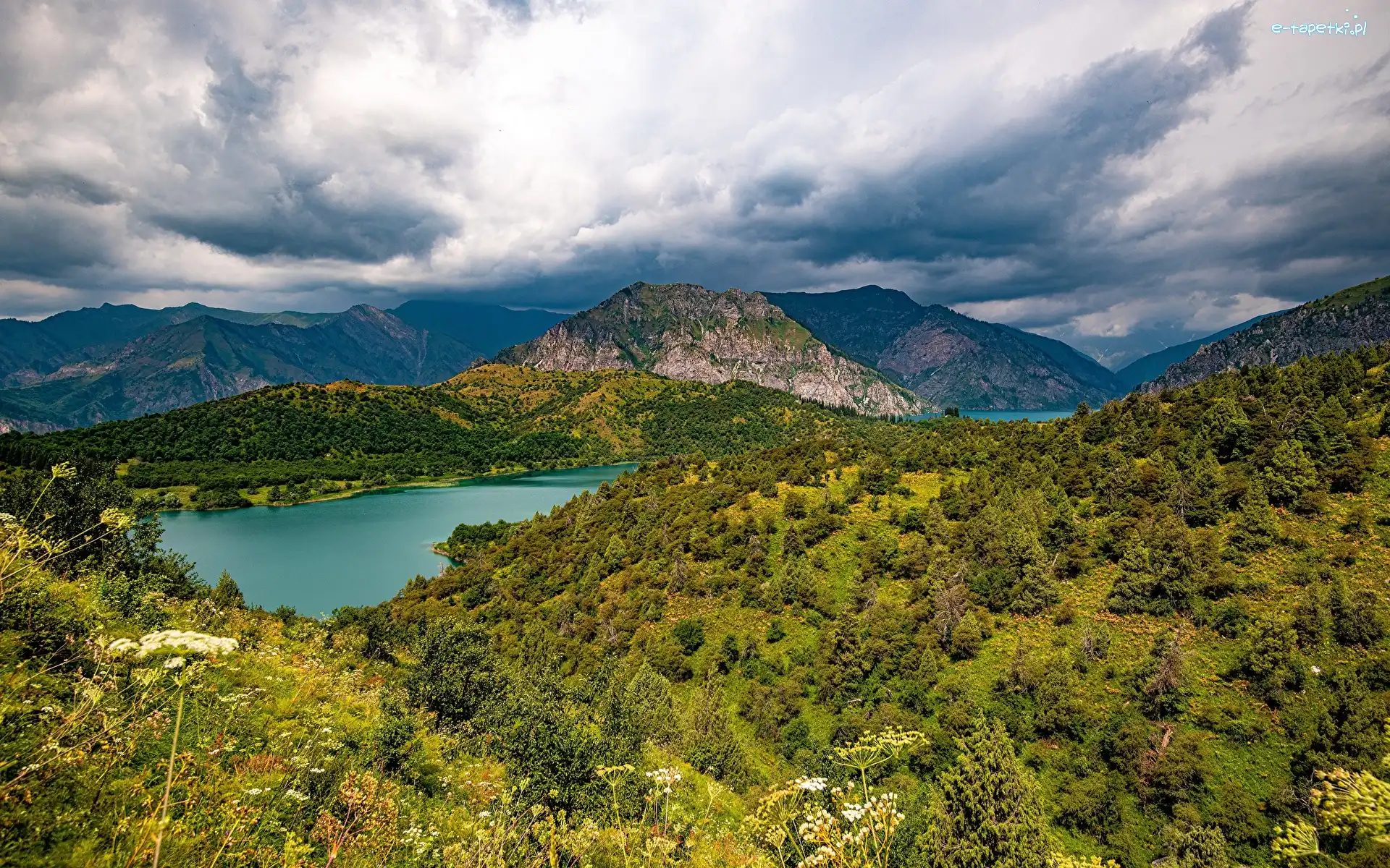 Drzewa, Lasy, Sary Chelek Lake, Jezioro, Góry, Kirgistan, Park Narodowy Ala Archa, Chmury, Prowincja Jalal Abad