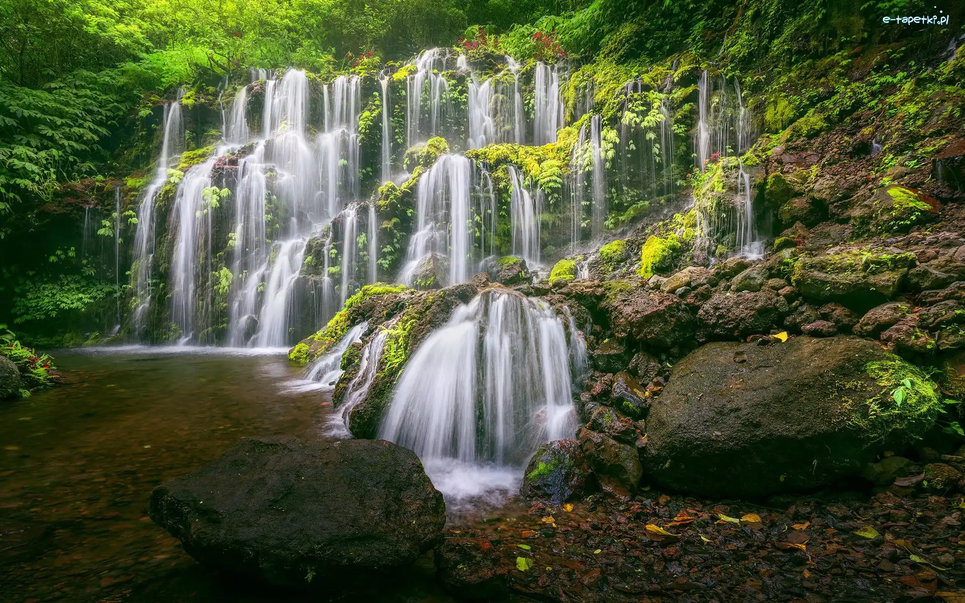Kaskada, Las, Roślinność, Omszone, Indonezja, Kamienie, Banyu Wana Amertha Wasserfall, Bali, Wodospad, Rzeka, Prowincja Wanagiri