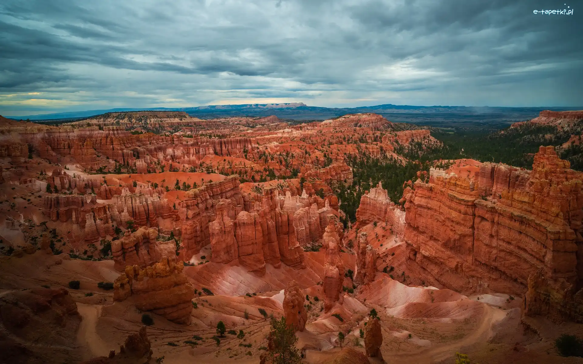 Stany Zjednoczone, Rośliny, Chmury, Skały, Kanion, Stan Utah, Park Narodowy Bryce Canyon