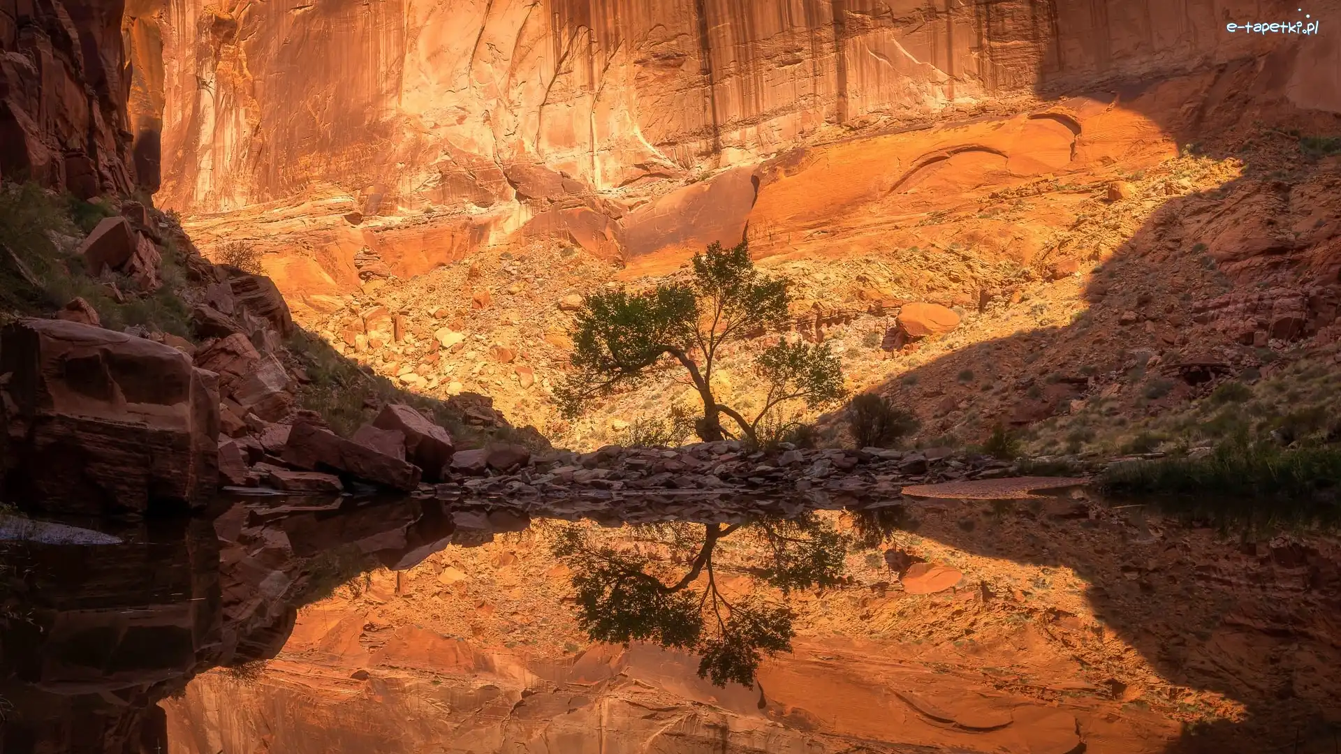Skały, Utah, Odbicie, Drzewo, Kanion, Jezioro, Powell Lake, Stany Zjednoczone