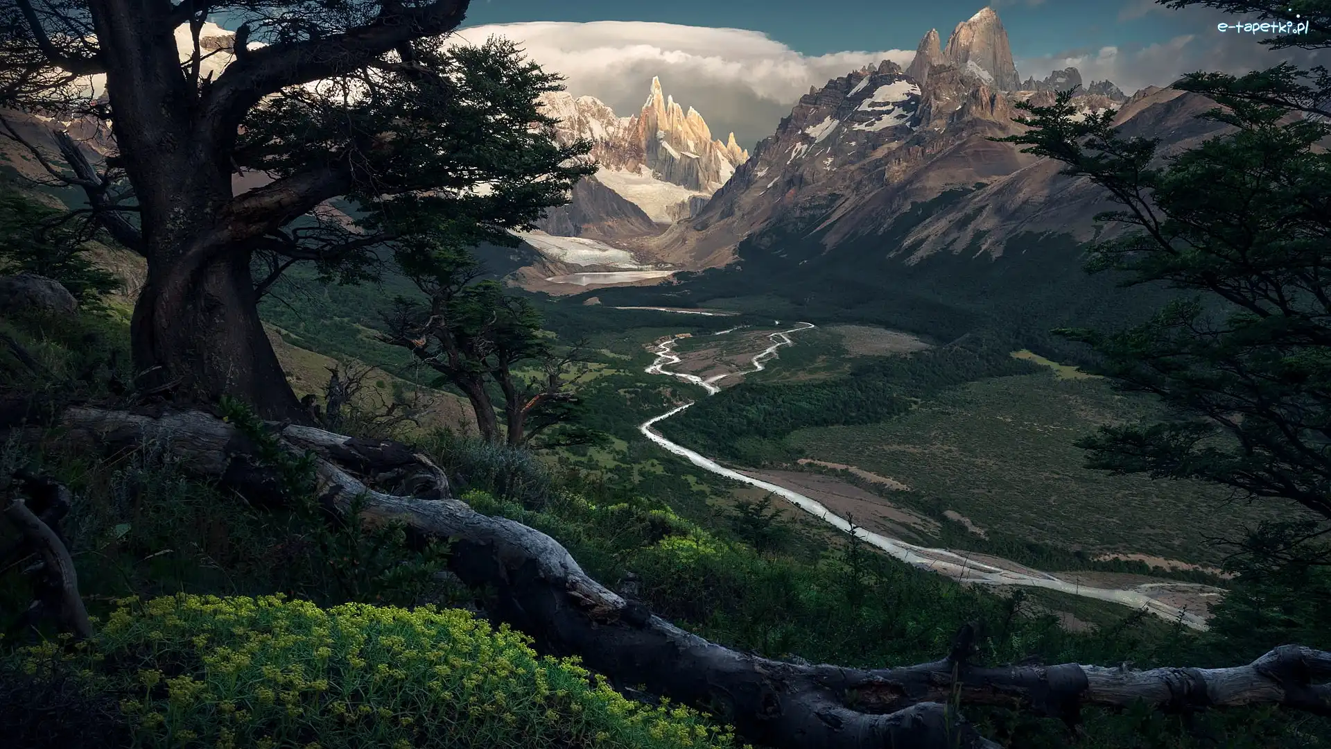 Rzeka Rio de las Vueltas, Góry, Argentyna, Dolina, Szczyt Fitz Roy, Gałęzie, Drzewa, Park Narodowy Los Glaciares, Szczyt Cerro Torre, Patagonia