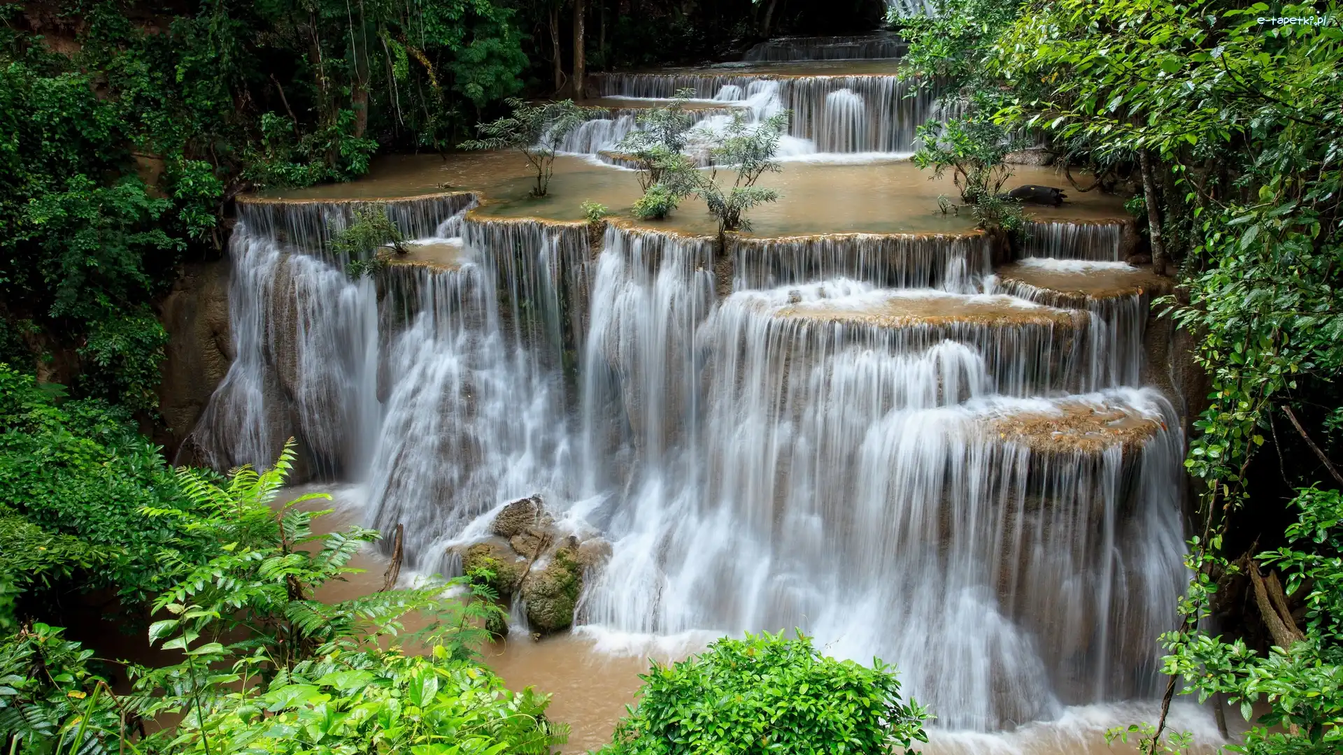 Prowincja Kanchanaburi, Drzewa, Wodospad Huai Mae Khamin, Tajlandia