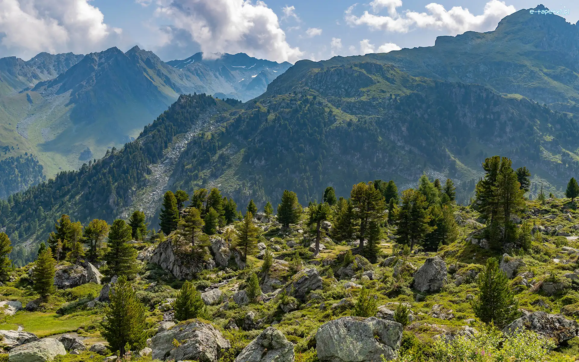 Góry, Drzewa, Lasy, Chmury, Kamienie