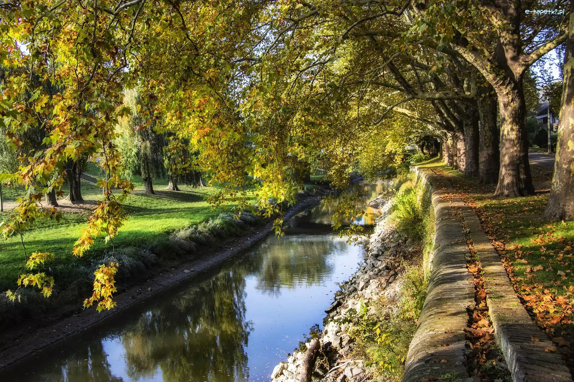 Rzeka, Drzewa, Park, Kanał