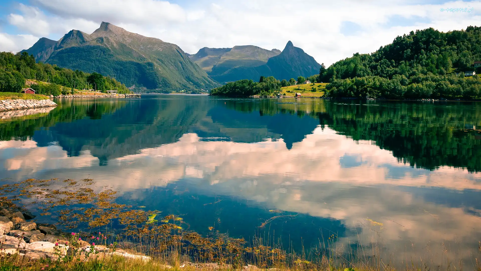 Fiord Eiksund, Drzewa, Góry, Norwegia, Region More og Romsdal