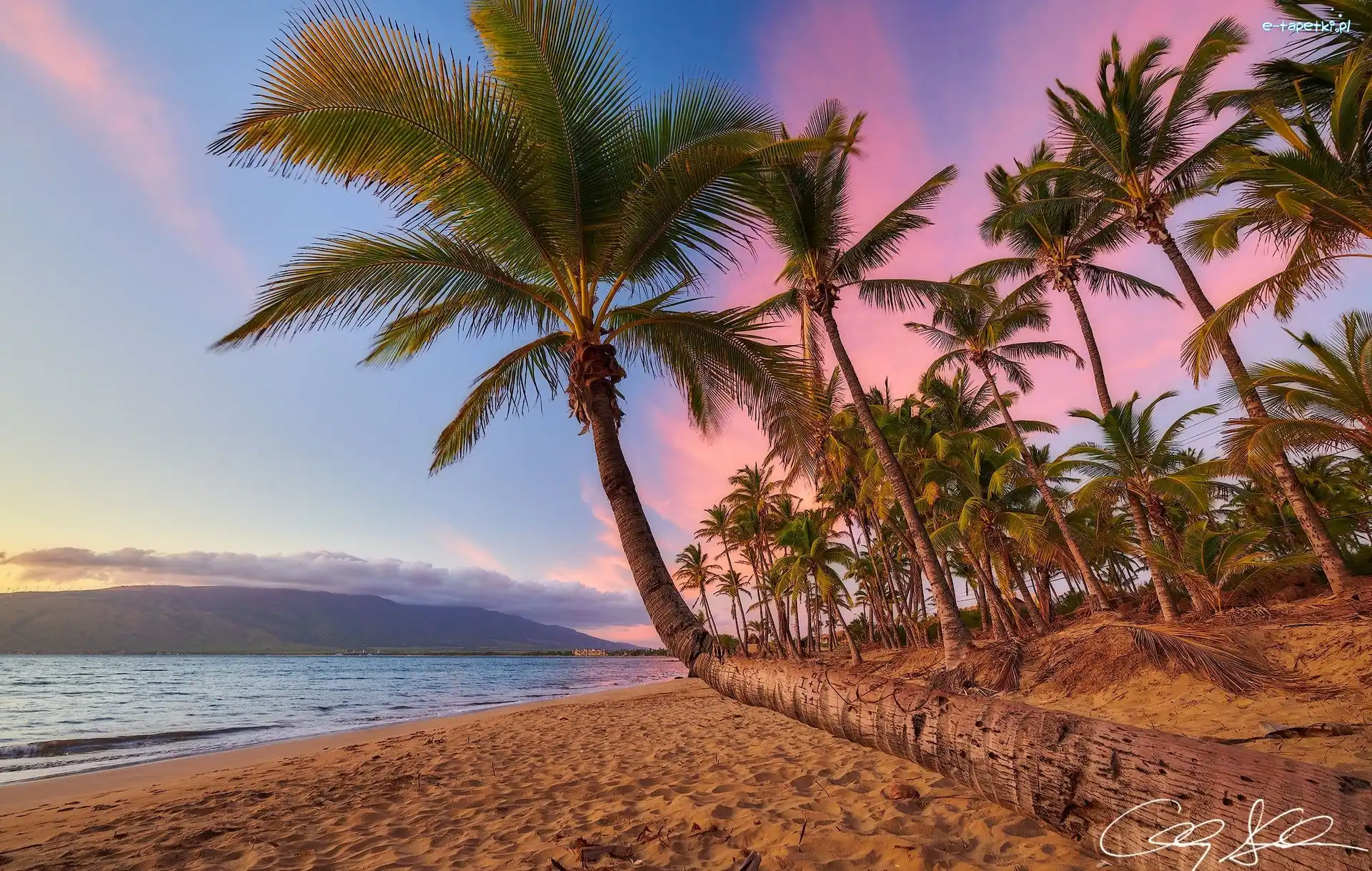 Plaża, Wybrzeże, Morze, Wyspa Maui, Hawaje, Zachód słońca, Palmy