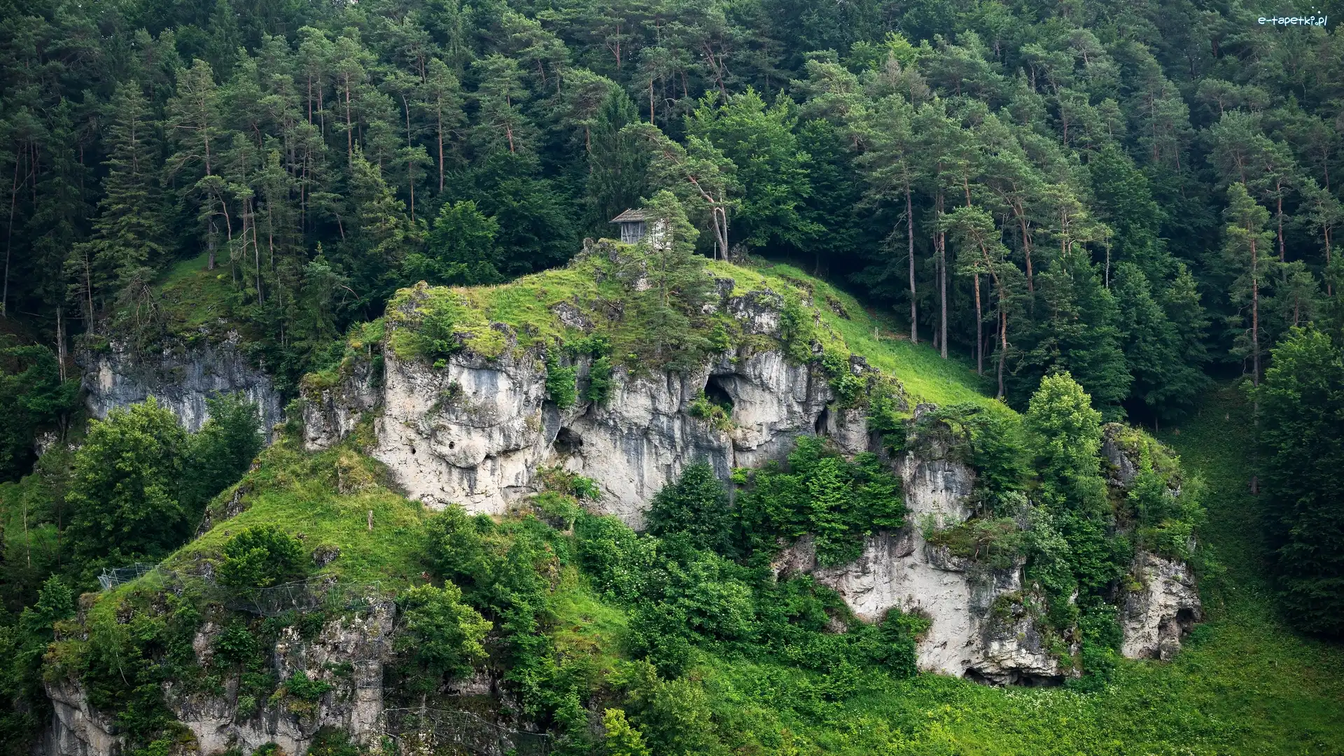 Zieleń, Drzewa, Skały, Las, Góry, Domek, Skarpa
