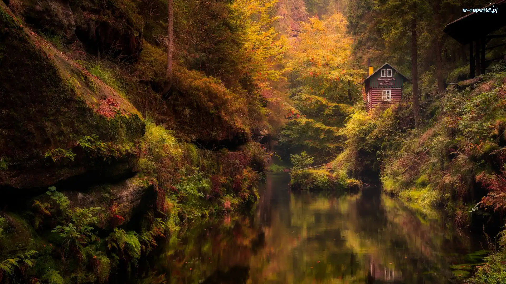 Skała, Las, Czechy, Park Narodowy Czeska Szwajcaria, Drzewa, Dom, Rzeka Kamienica, Jesień