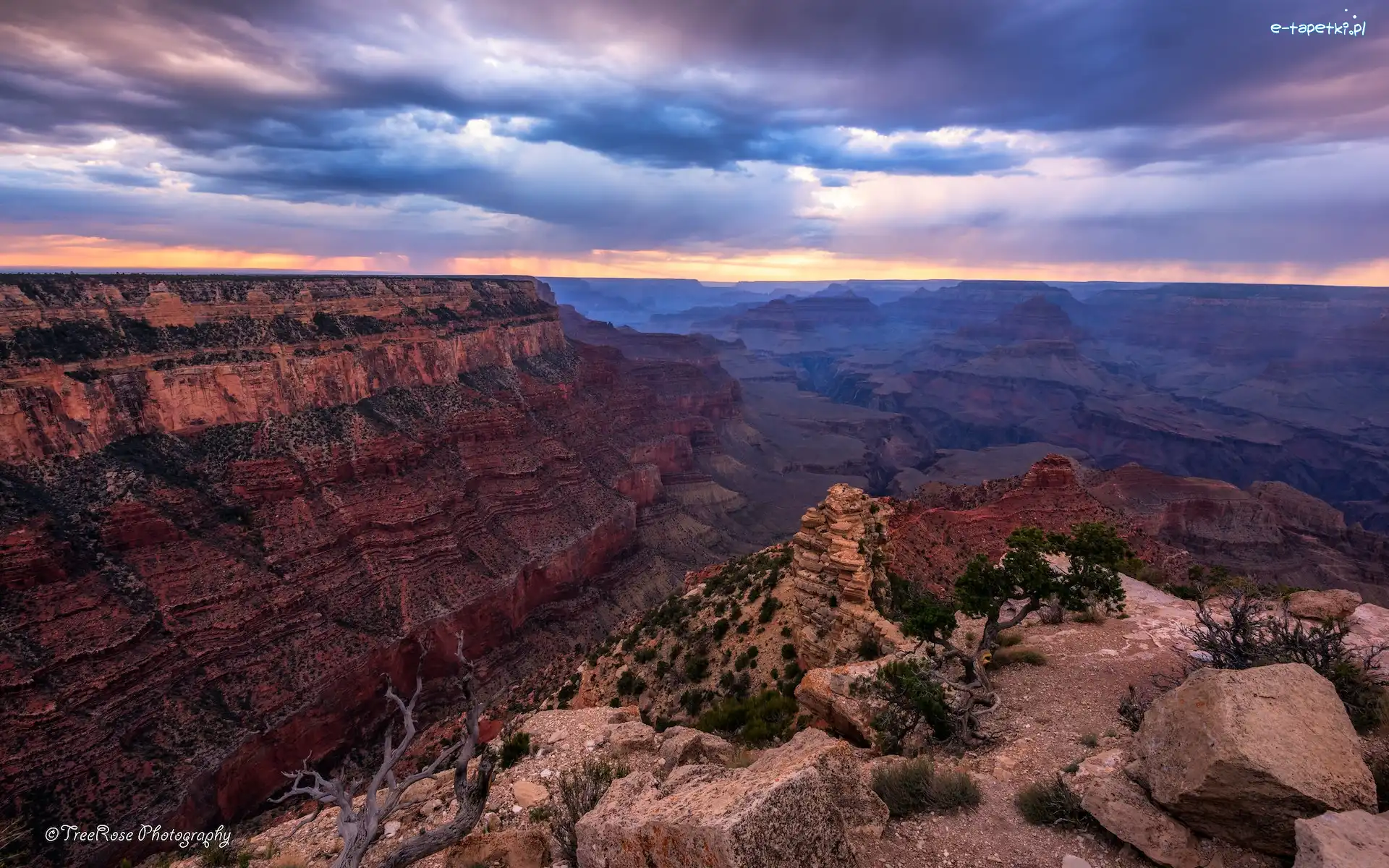 Drzewa, Park Narodowy Wielkiego Kanionu, Grand Canyon, Kolorado, Stany Zjednoczone, Chmury, Skały