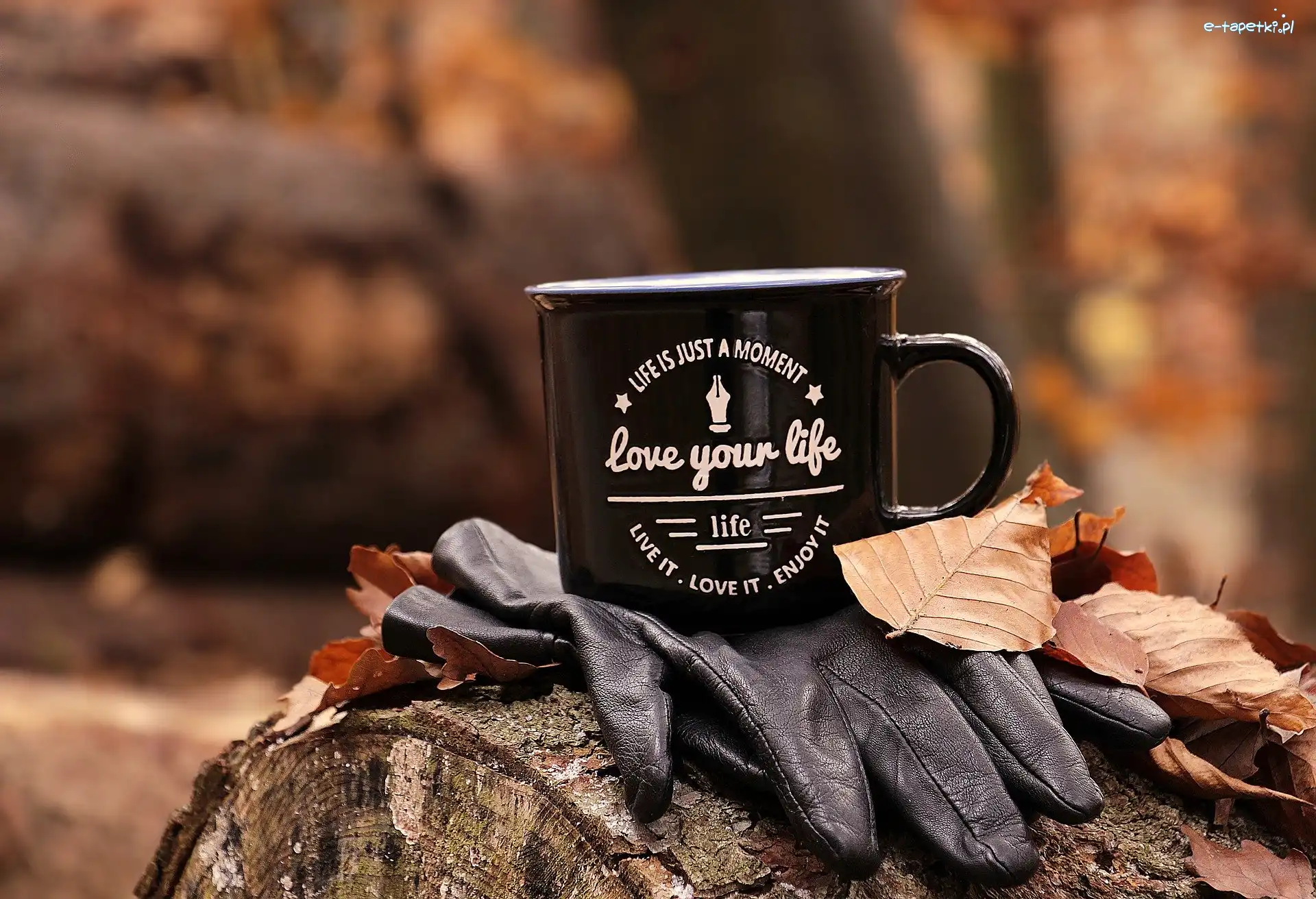 Rękawiczki, Napis, Love your life, Liście, Kubek, Pień