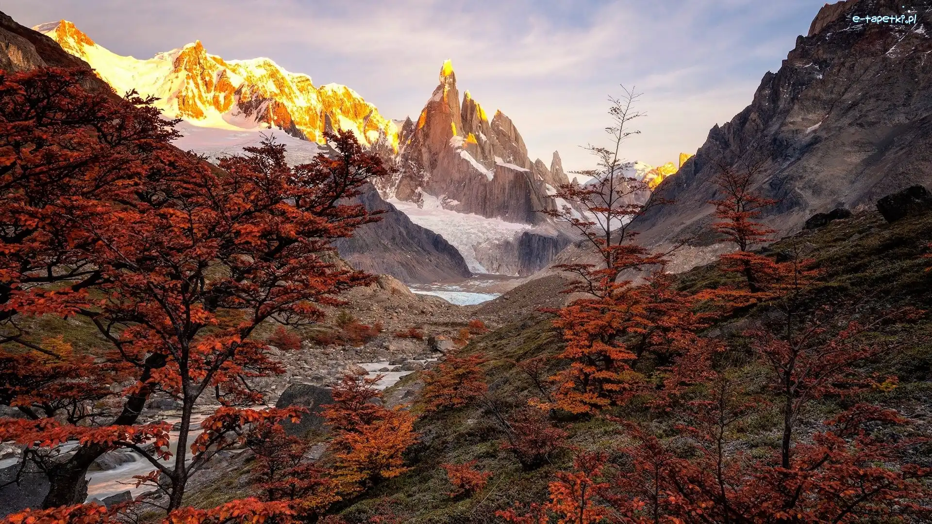 Drzewa, Ośnieżone, Park Narodowy Los Glaciares, Góra Fitz Roy, Jesień, Argentyna, Patagonia, Góry