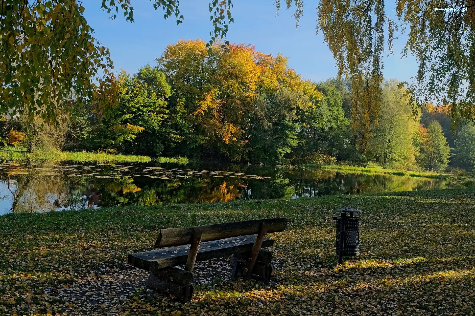 Liście, Park, Drzewa, Ławka, Staw, Opadłe, Jesień