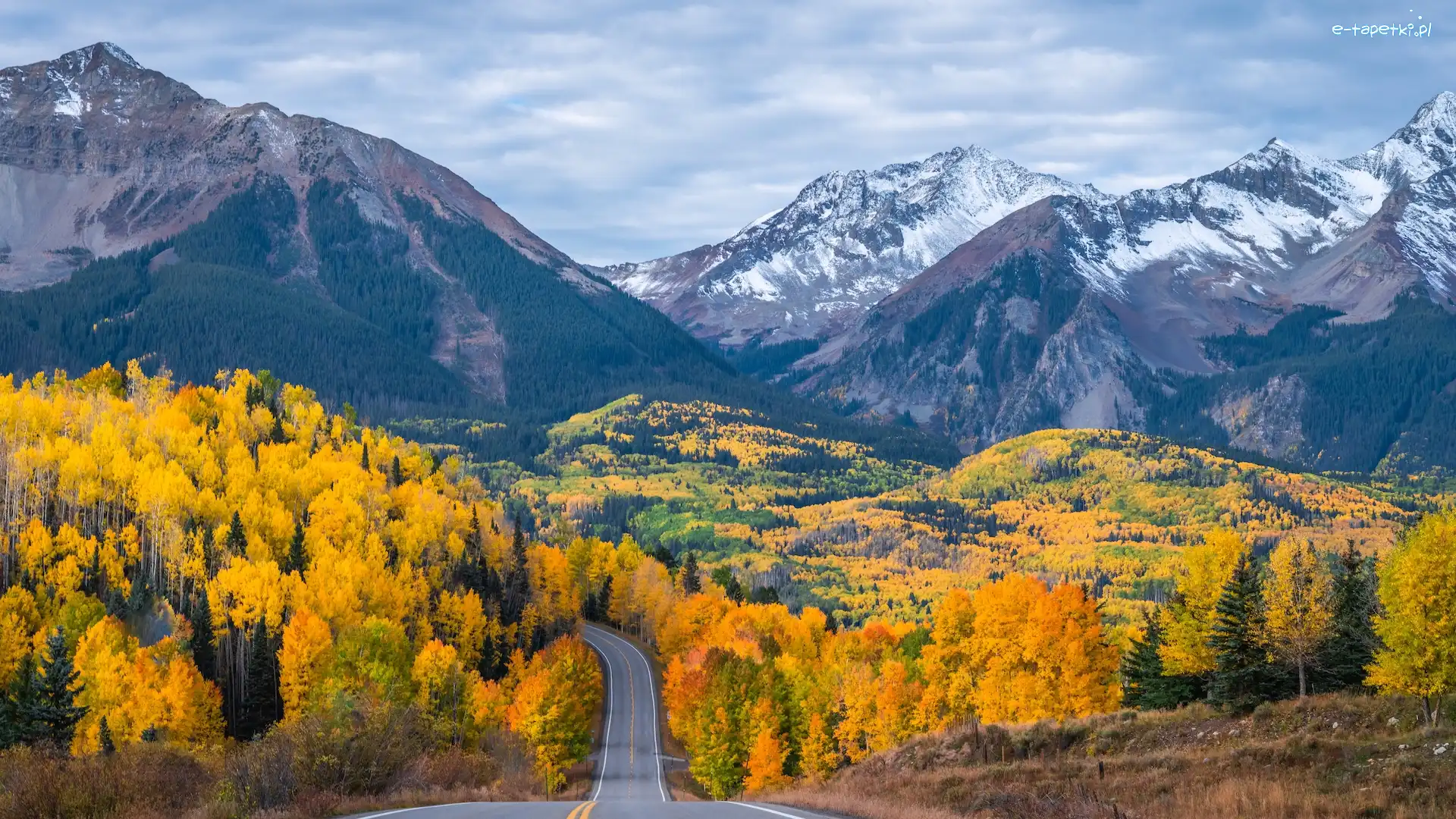 Droga, Telluride, Góry, Kolorado, Stany Zjednoczone, Jesień, Drzewa