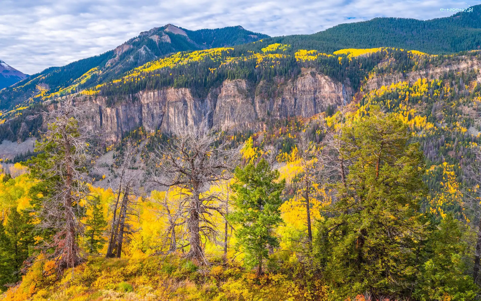 Góry, Drzewa, Stany Zjednoczone, Kolorado, Las, San Juan Mountains, Telluride, Jesień