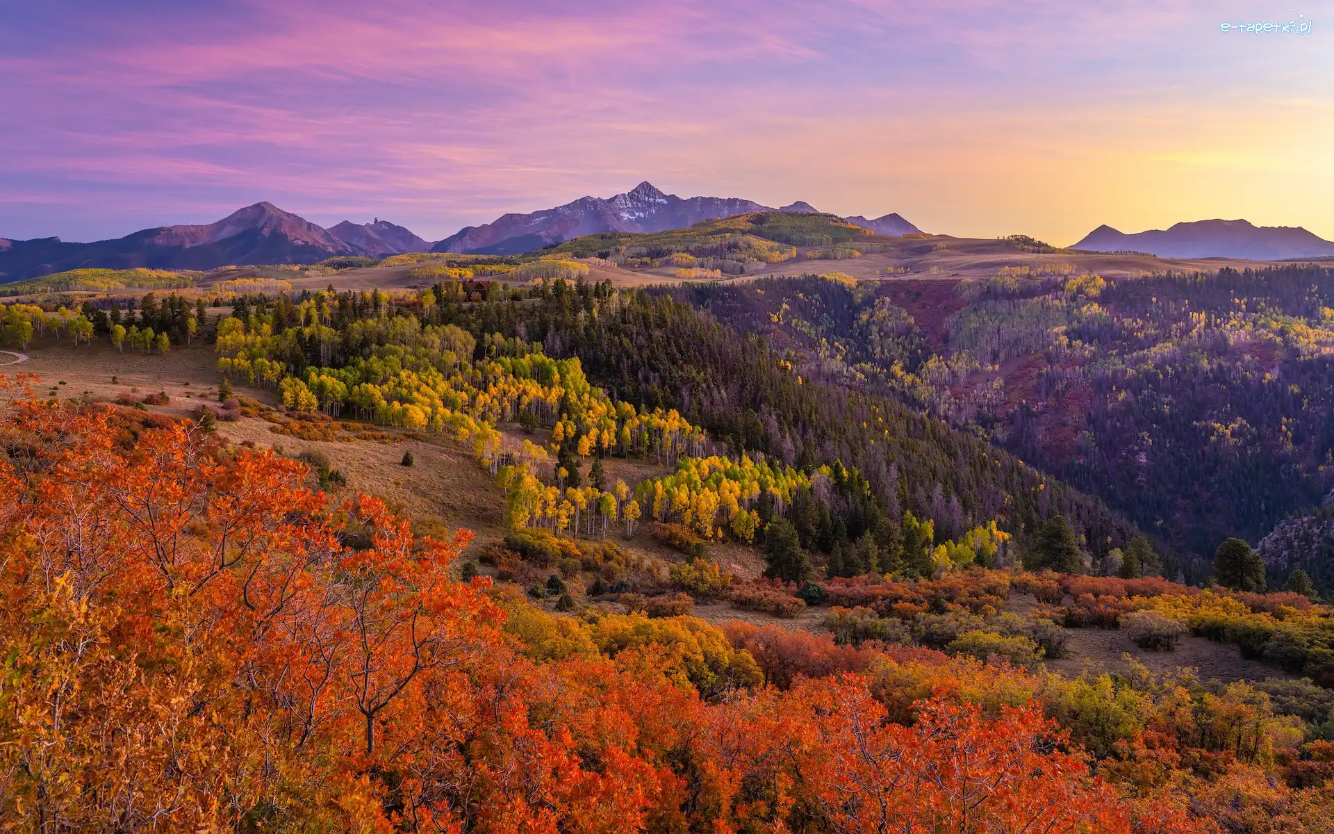 San Juan Mountains, Stany Zjednoczone, Roślinność, Telluride, Krzewy, Las, Góry, Drzewa, Jesień, Stan Kolorado, Kolorowe