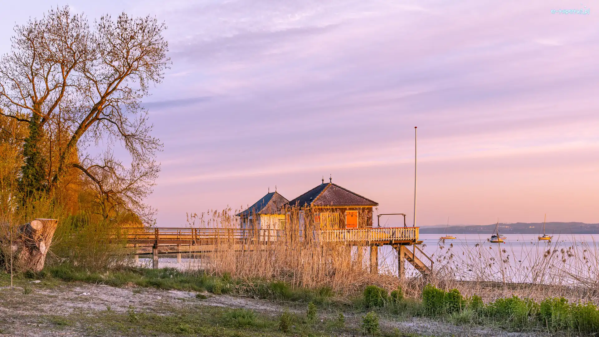 Rośliny, Domy, Żaglówki, Pomost, Jezioro, Suche, Drzewa