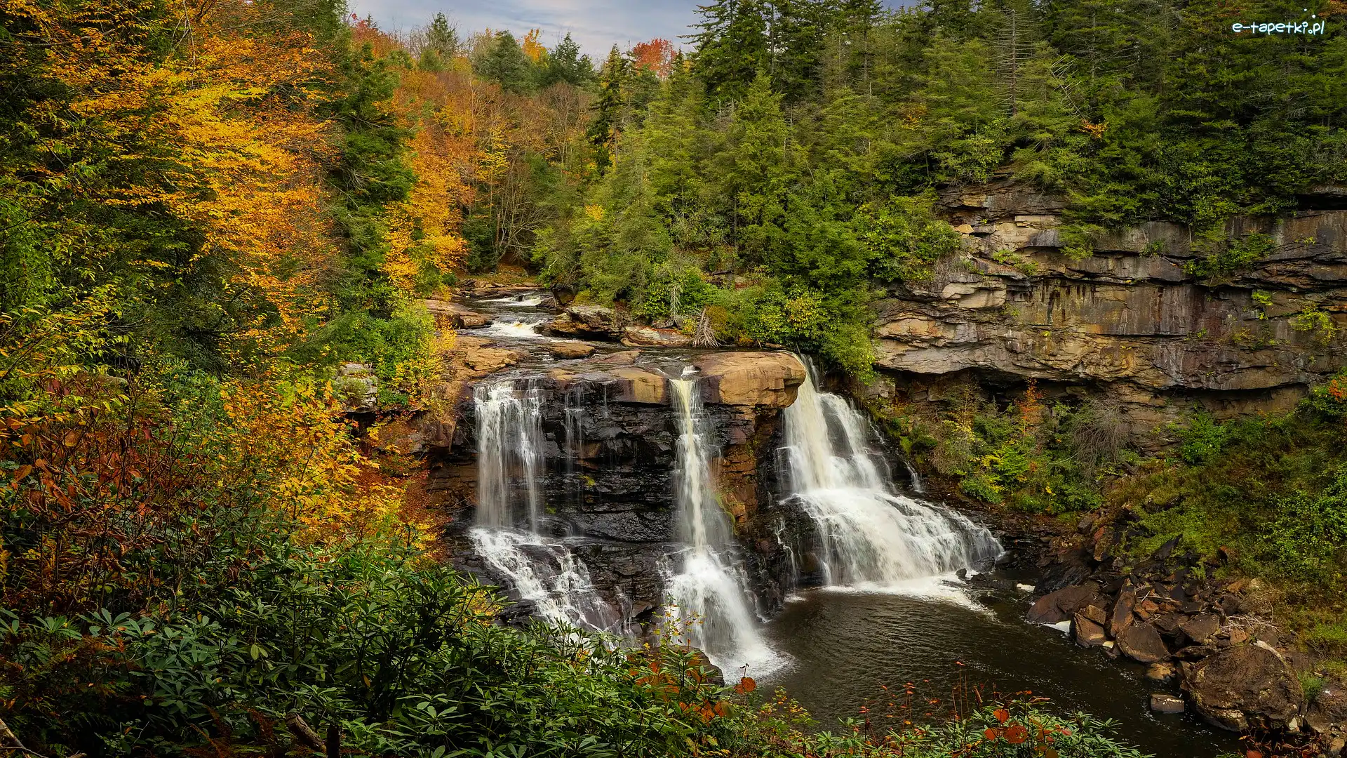 Rzeka, Wirginia zachodnia, Drzewa, Skały, Park stanowy Blackwater Falls, Wodospad, Blackwater Falls, Stany Zjednoczone