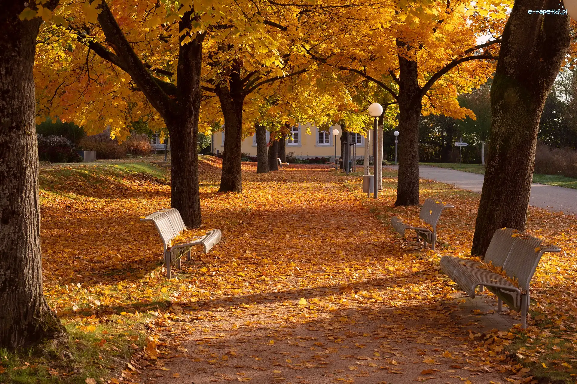 Jesień, Ławki, Park, Latarnie, Aleja