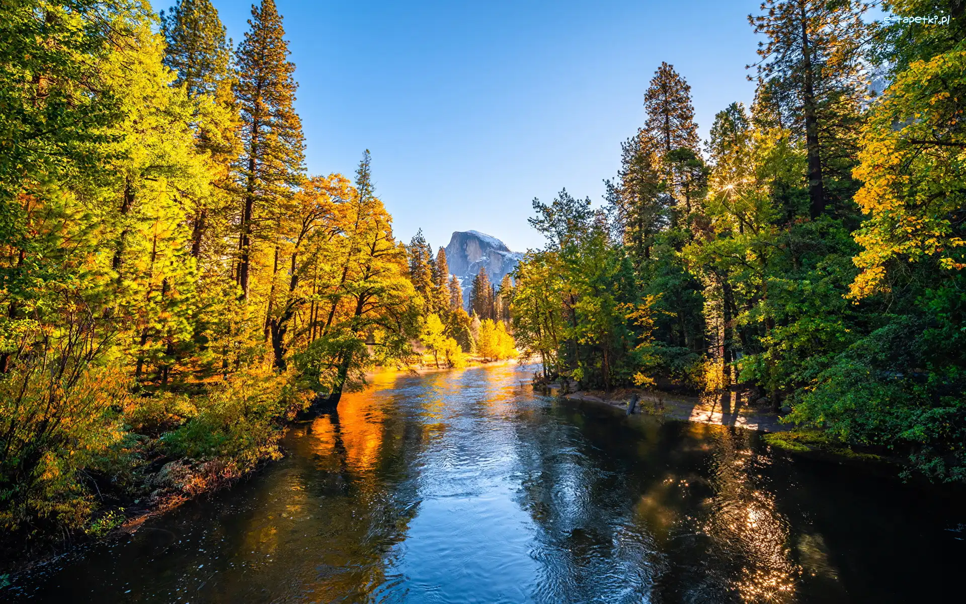Drzewa, Drzewa, Rzeka, Góry, Park Narodowy Yosemite, Stany Zjednoczone, Kalifornia, Merced River, Jesień