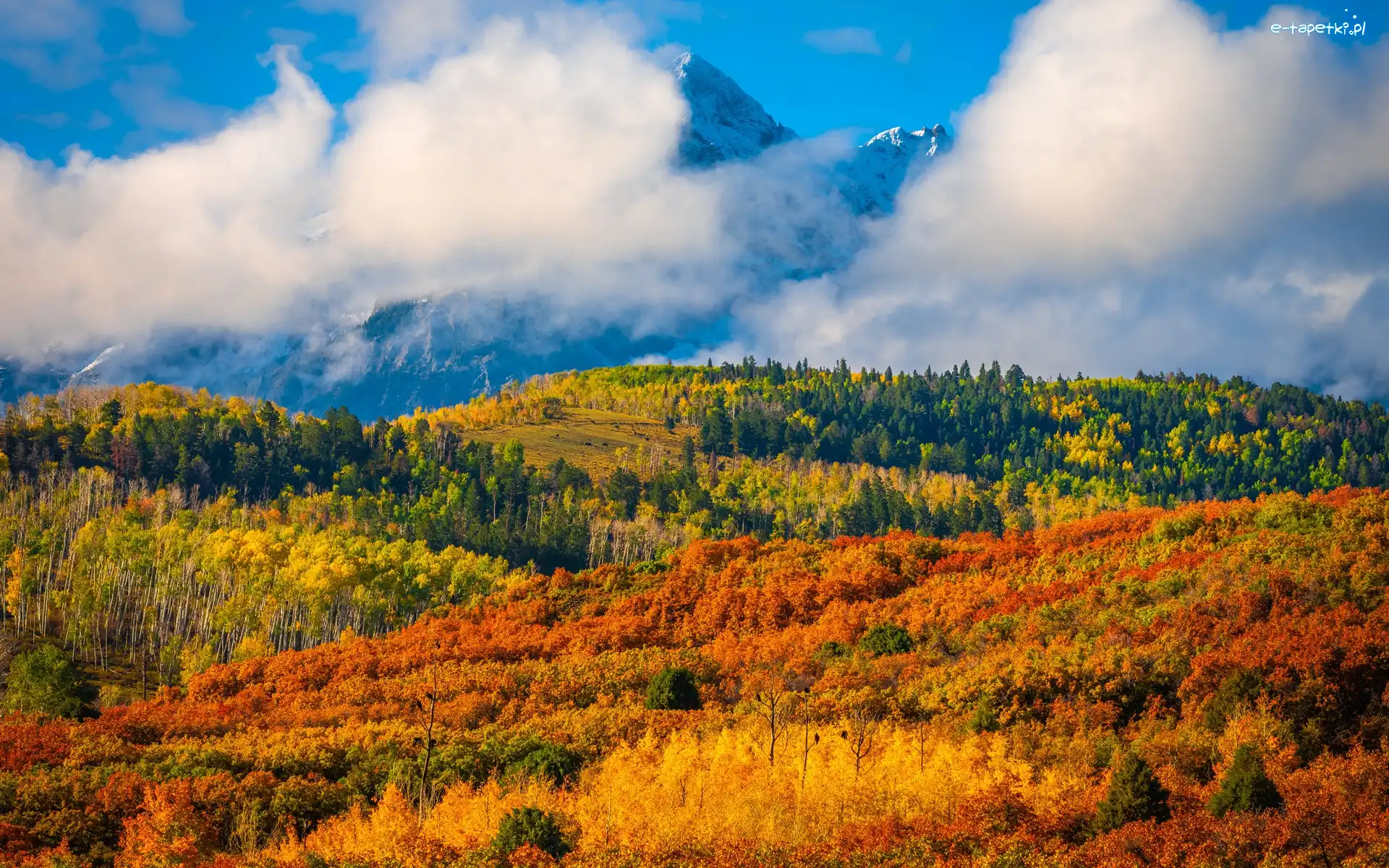 Chmury, San Juan Mountains, Stany Zjednoczone, Drzewa, Dallas Divide, Jesień, Las, Góry, Przełęcz, Kolorado