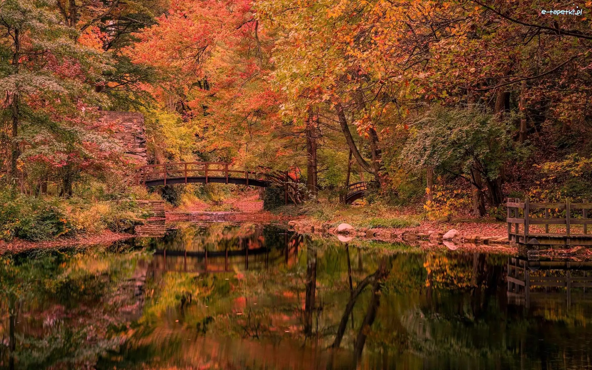 Stan Hywet Hall and Gardens, Rzeka, Mostek, Drzewa, Jesień, Stany Zjednoczone, Ohio, Ogród, Akron