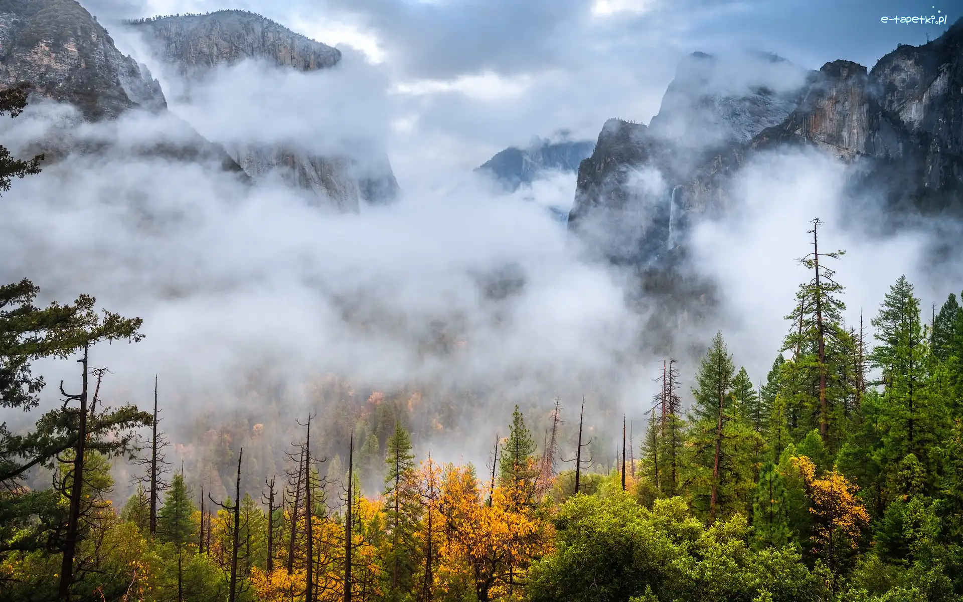 Drzewa, Kalifornia, Park Narodowy Yosemite, Mgła, Góry, Lasy, Jesień, Stany Zjednoczone