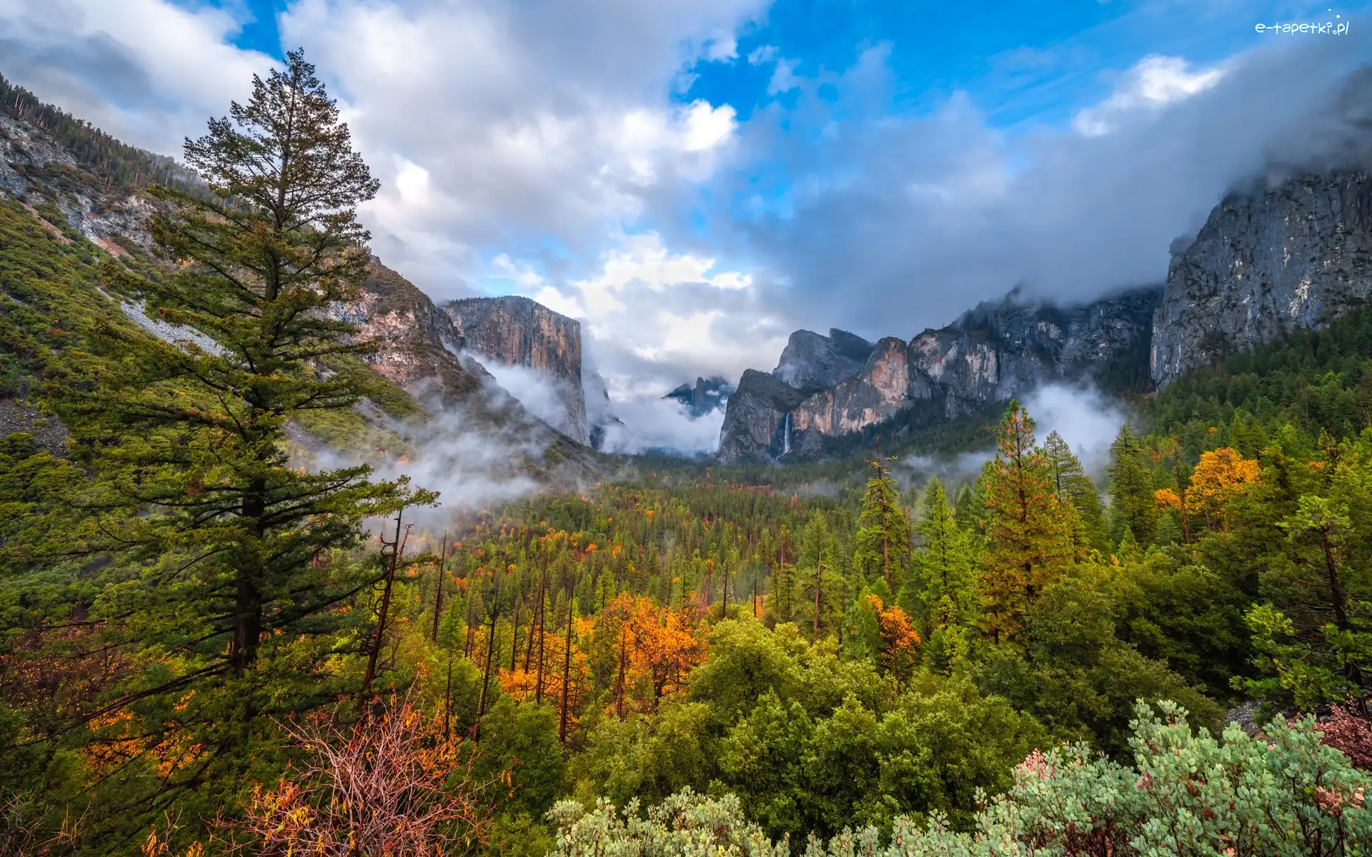 Drzewa, Kalifornia, Mgła, Jesień, Góry, Yosemite Valley, Dolina, Stany Zjednoczone, Park Narodowy Yosemite, Chmury