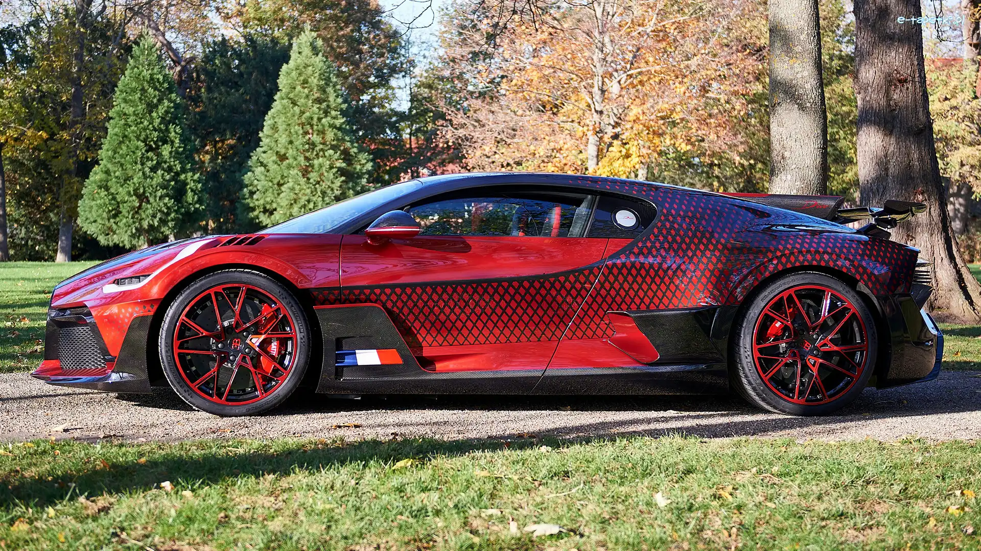 Bok, Bugatti Divo Lady Bug