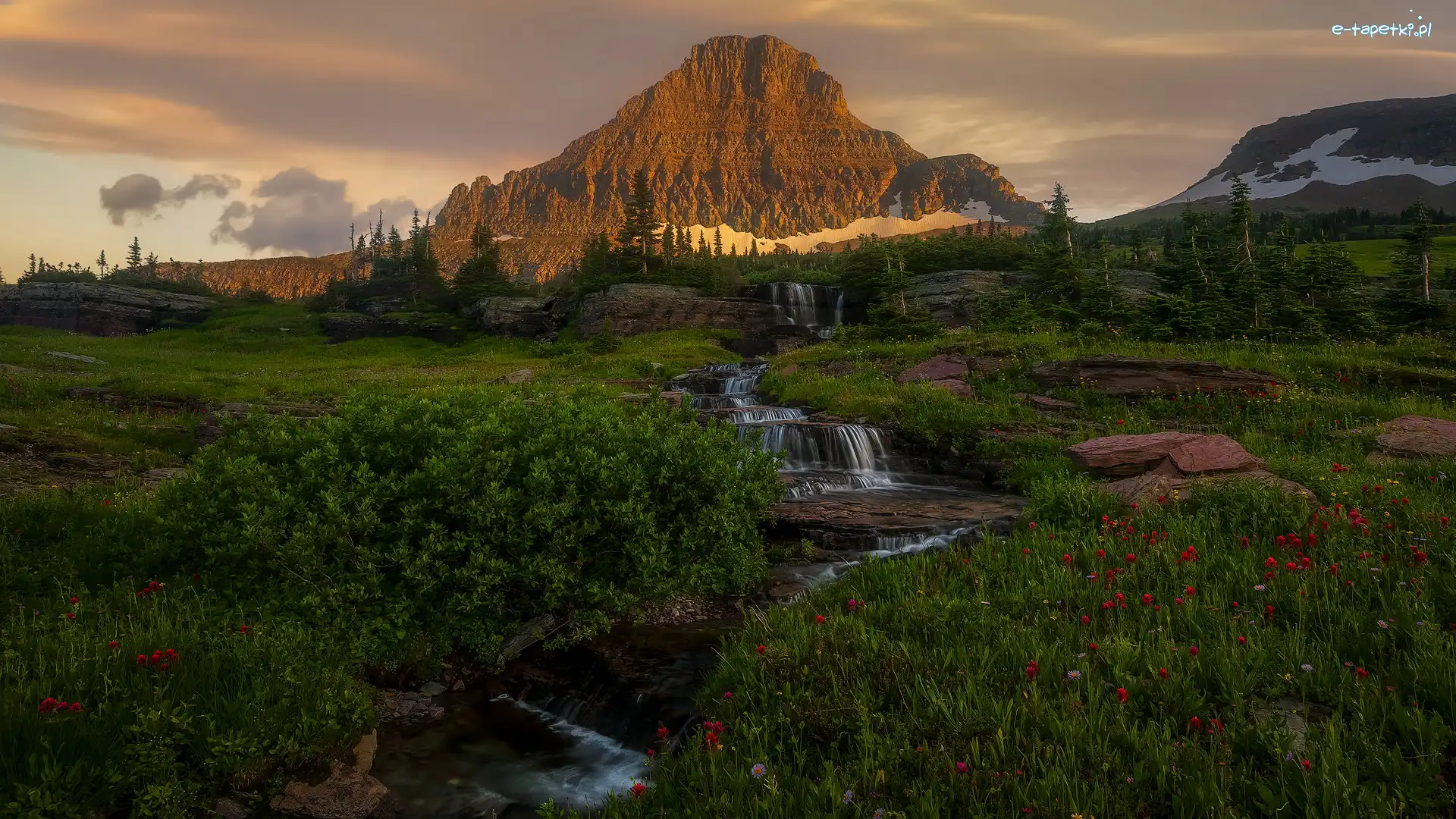 Strumień, Łąka, Góra, Góry Skaliste, Park Narodowy Glacier, Stany Zjednoczone, Montana, Reynolds Mountain, Skały