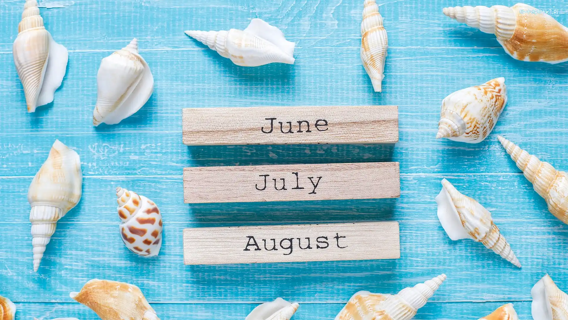 August, Klocki, Tło, Niebieskie, Napis, July, June, Muszelki