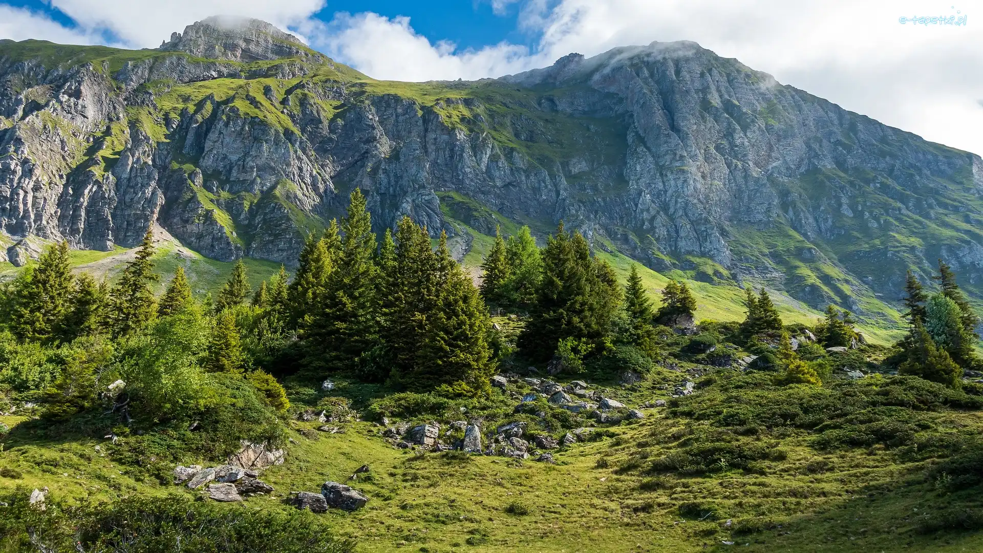 Kanton Sankt Gallen, Drzewa, Skały, Szwajcaria, Dolina, Góry Churfirsten