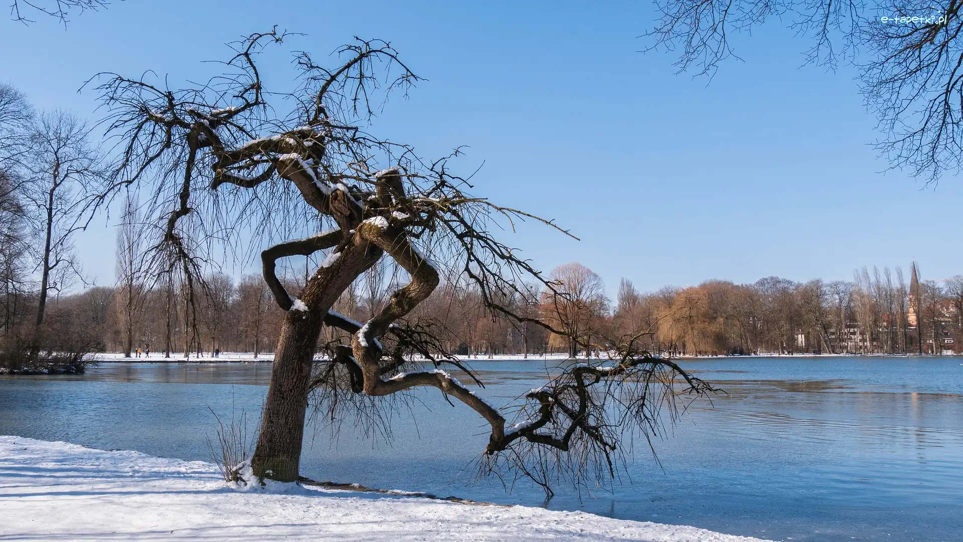 Zima, Drzewa, Jezioro, Śnieg, Park