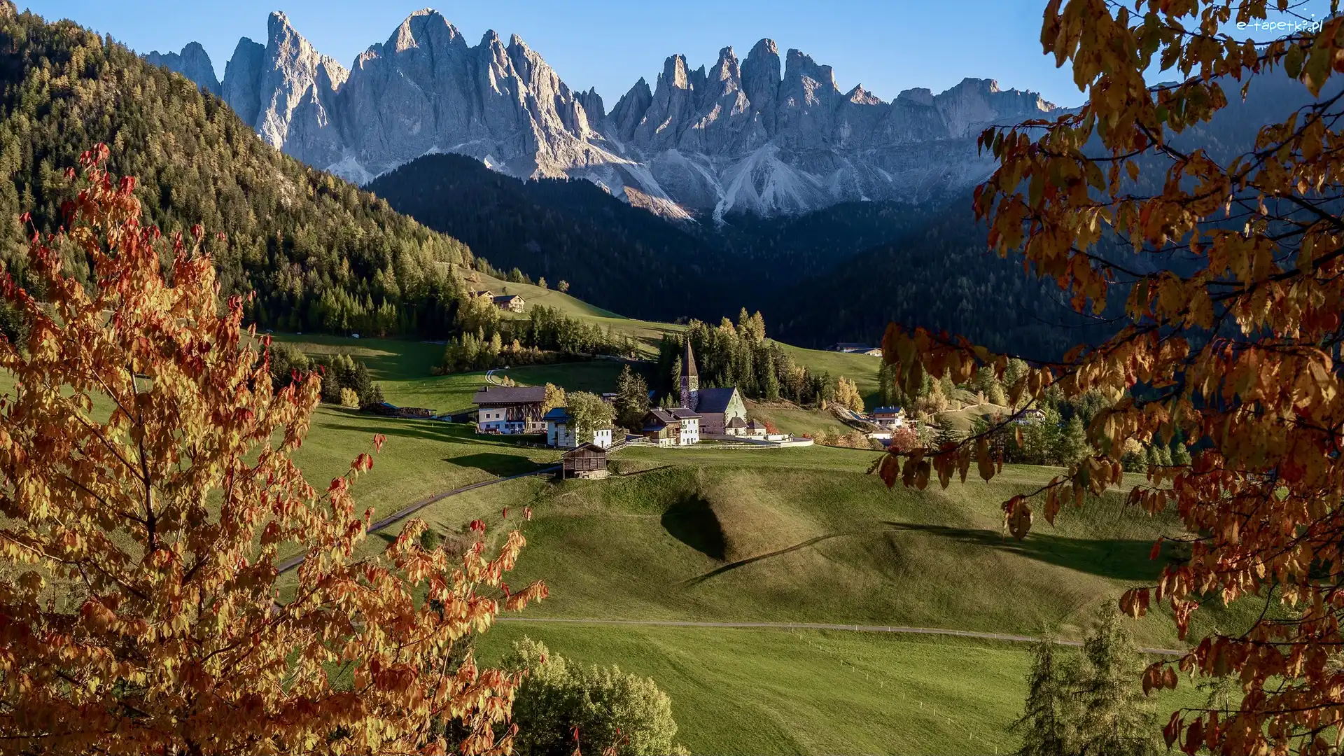 Dolina Val di Funes, Domy, Wieś Santa Maddalena, Dolomity, Góry, Włochy, Jesień, Kościół, Drzewa
