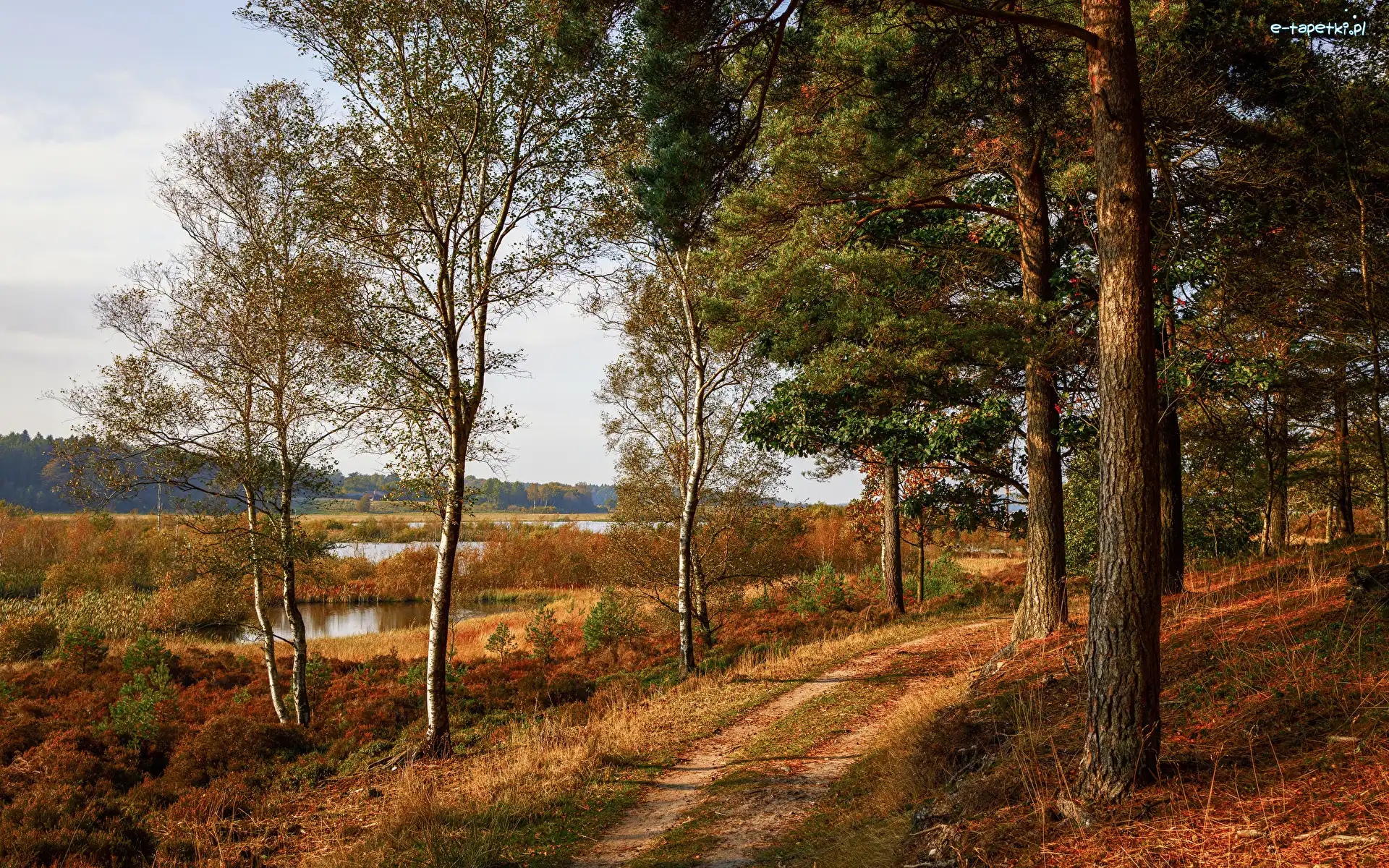 Ścieżka, Jezioro, Drzewa, Jesień