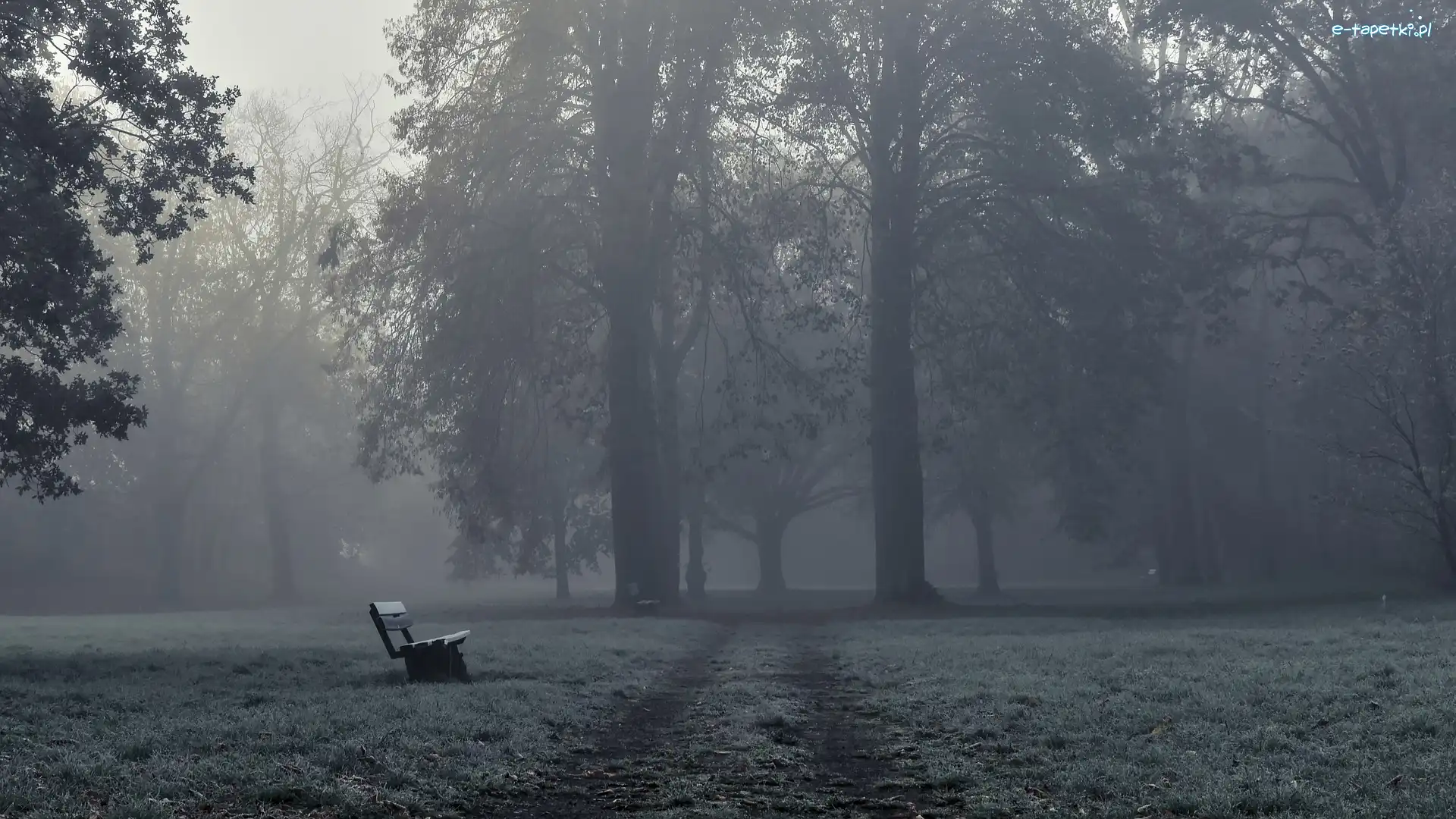 Park, Ławka, Mgła, Ścieżka, Drzewa