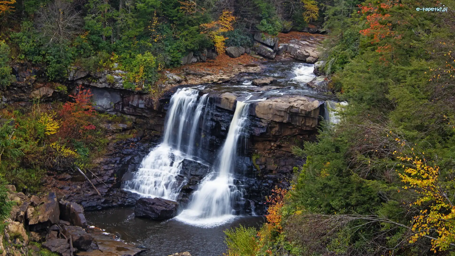 Jesień, Stan Wirginia Zachodnia, Wodospad Blackwater Falls, Skały, Park stanowy Blackwater Falls, Drzewa, Las, Stany Zjednoczone