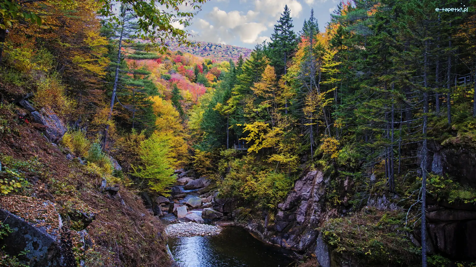 Las, Pemigewasset River, Stany Zjednoczone, Stan New Hampshire, Skały, Drzewa, Jesień, Rzeka