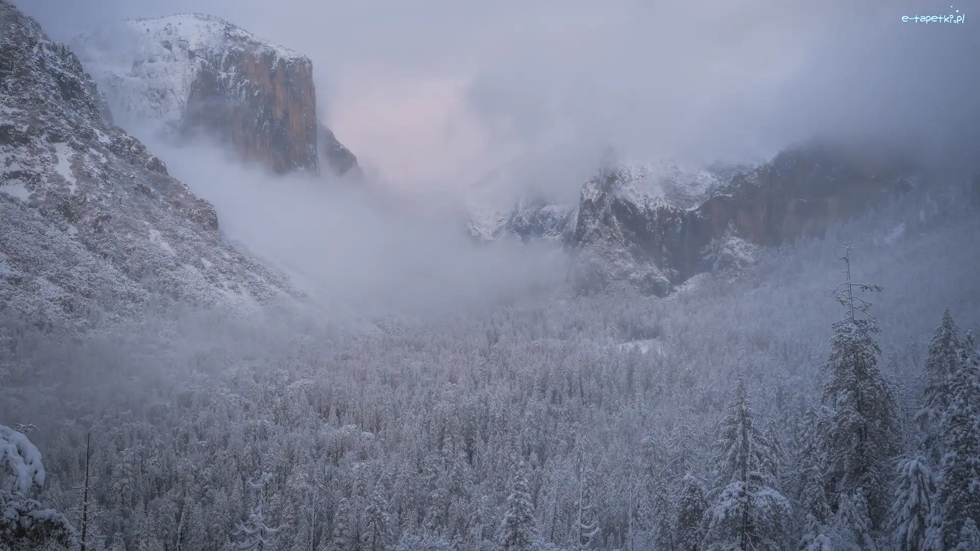 Ośnieżone, Sierra Nevada, Zima, Kalifornia, Stany Zjednoczone, Park Narodowy Yosemite, Mgła, Góry, Drzewa