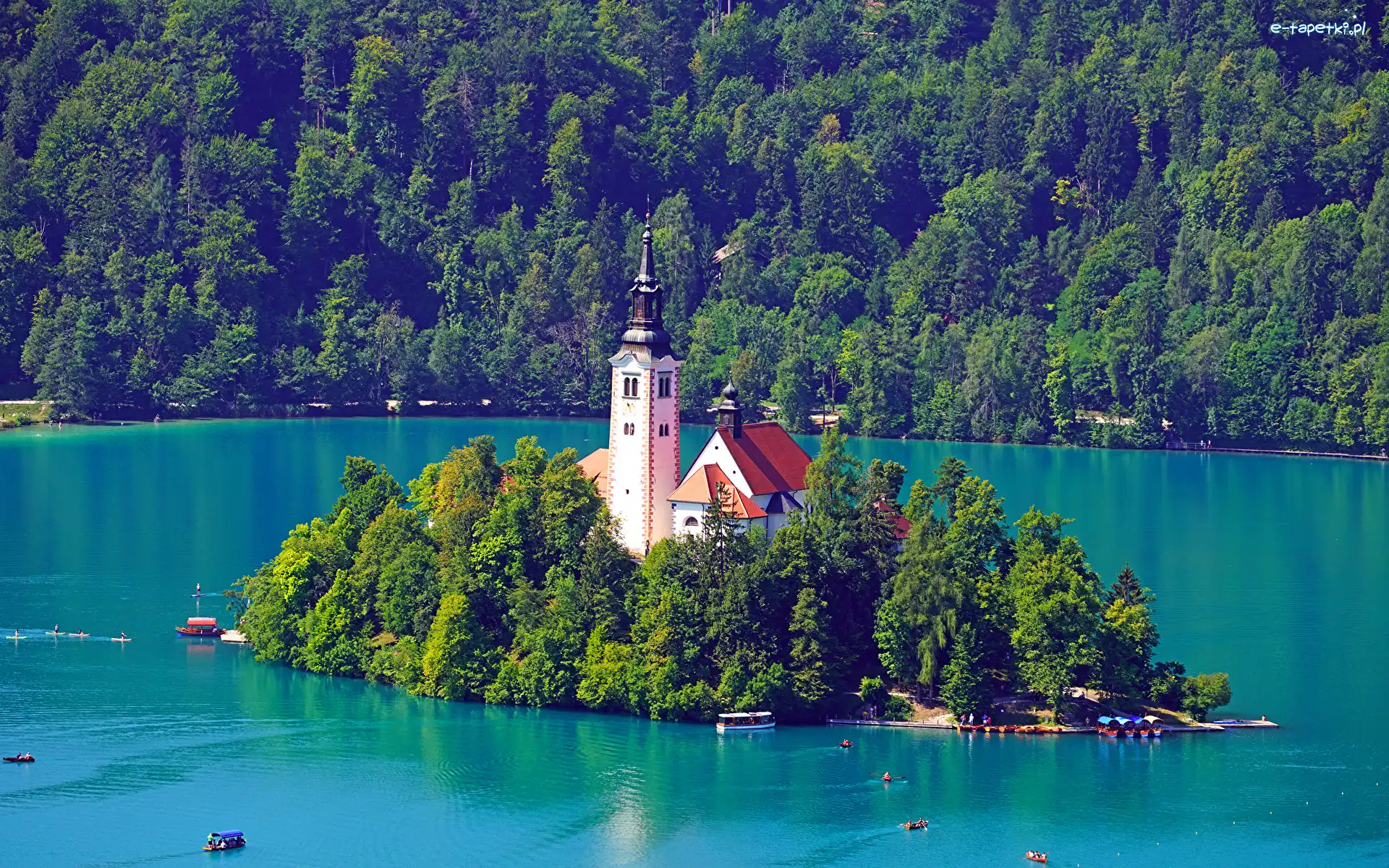 Drzewa, Blejski Otok, Kościół Zwiastowania Marii Panny, Wyspa, Słowenia, Lasy, Jezioro Bled