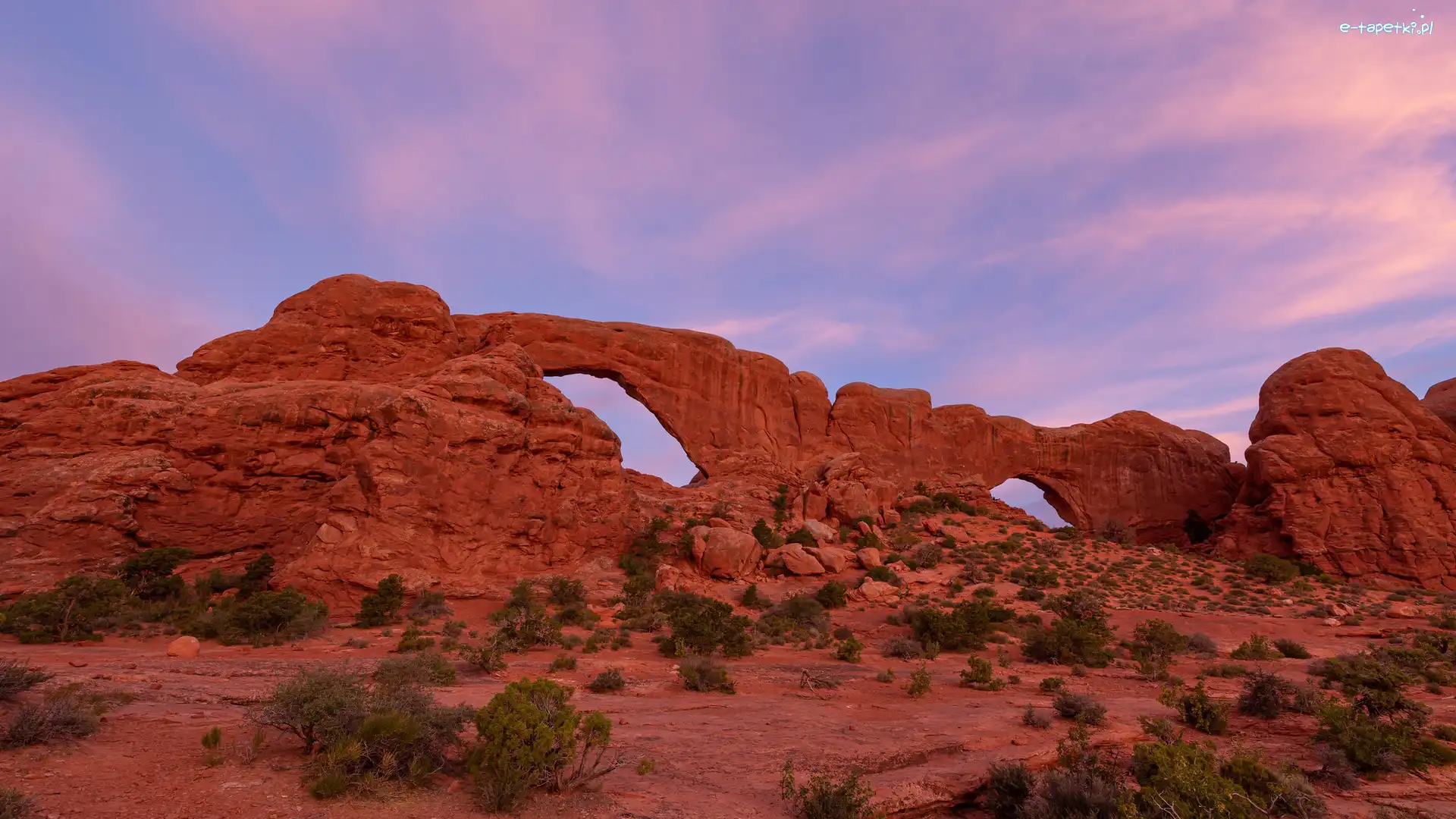 Skały, Krzewy, Park Narodowy Arches, Stany Zjednoczone, Utah