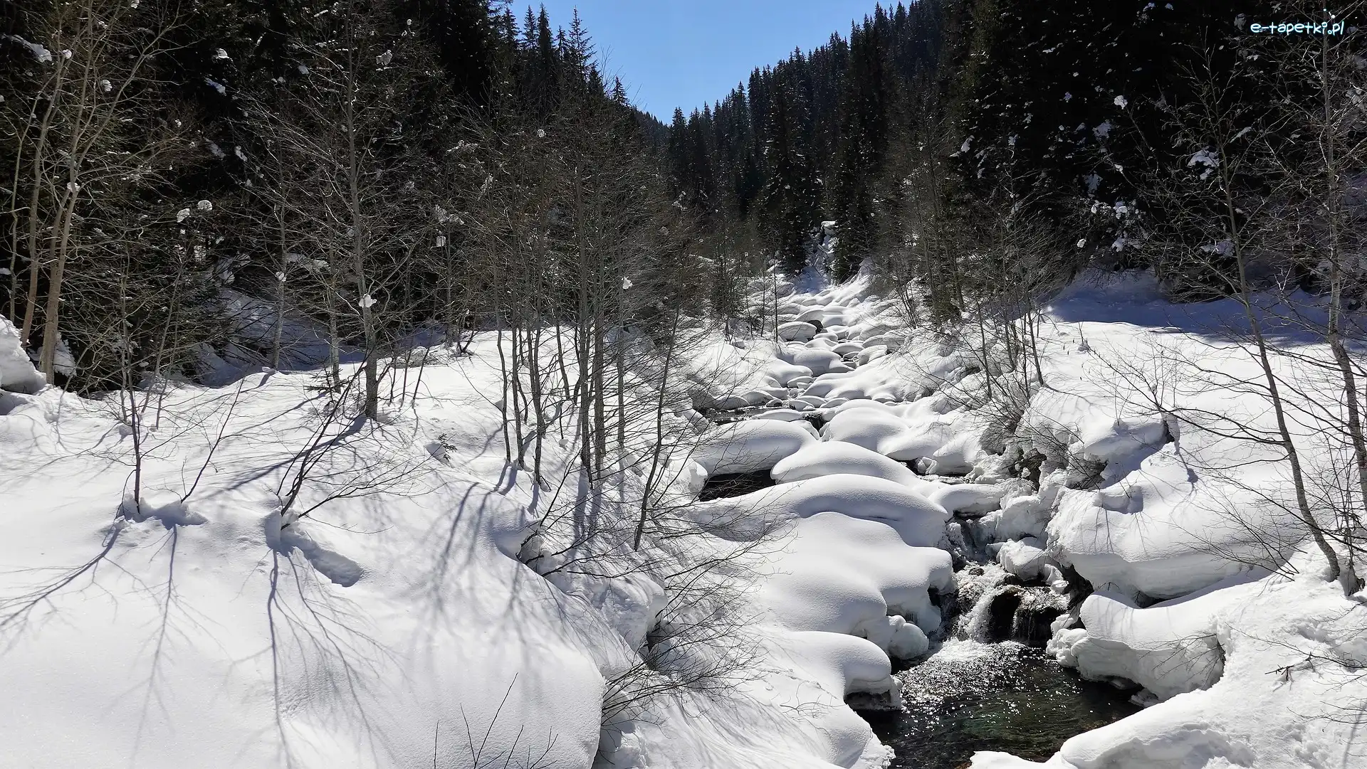 Zima, Las, Strumień, Śnieg, Drzewa