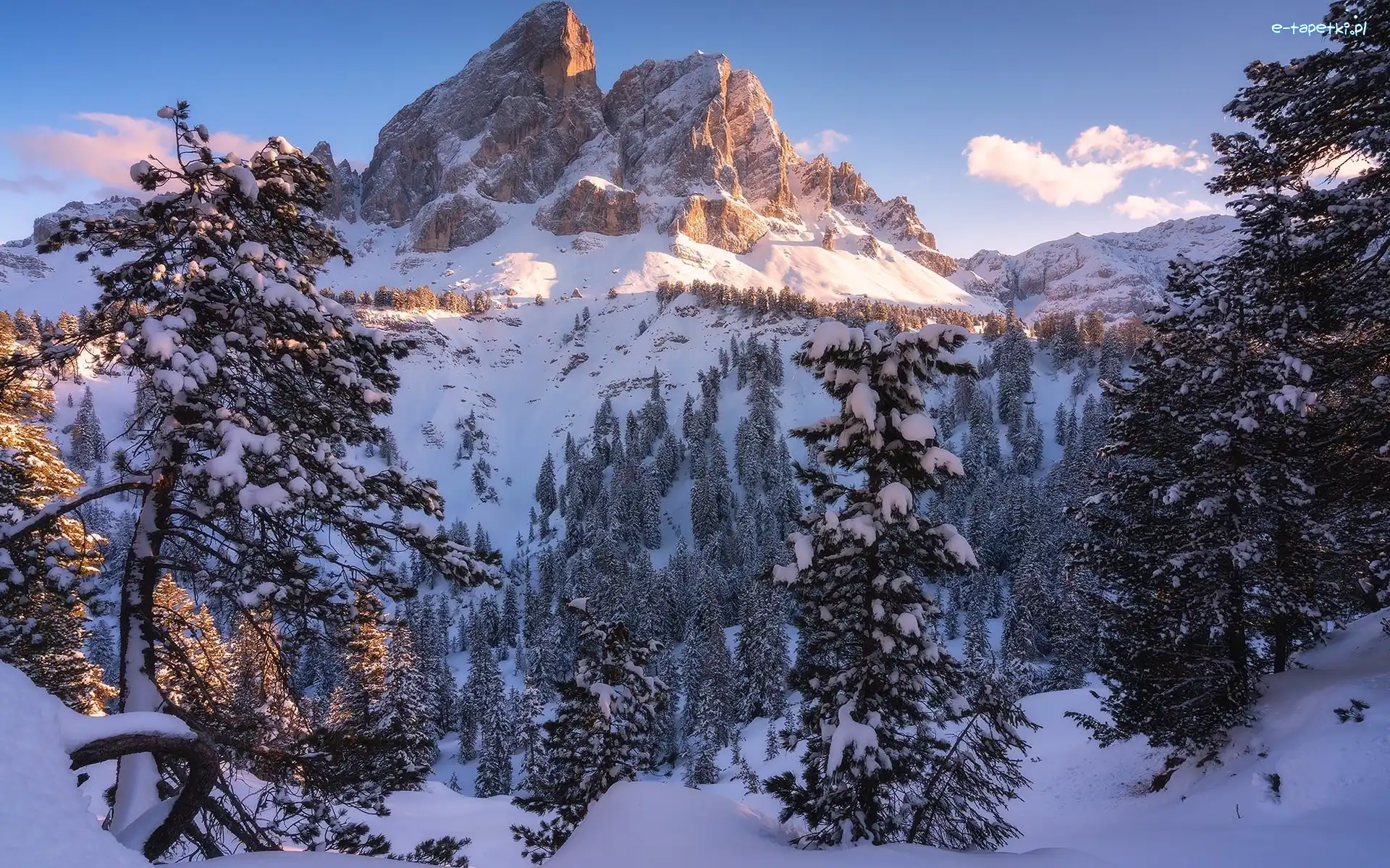 Włochy, Dolomity, Góra Peitlerkofel, Góry, Zima, Drzewa, Sass de Putia