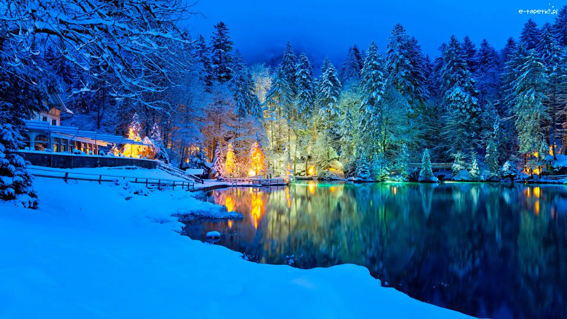 Jezioro Blausee, Drzewa, Śnieg, Szwajcaria, Las, Zima