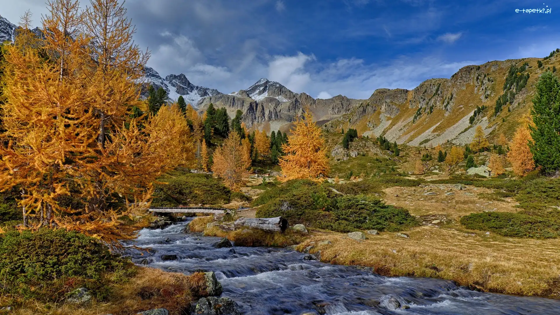 Dolina, Modrzewie, Rzeka, Góry, Jesień, Szwajcaria, Kanton Gryzonia, Drzewa, Valle di Campo